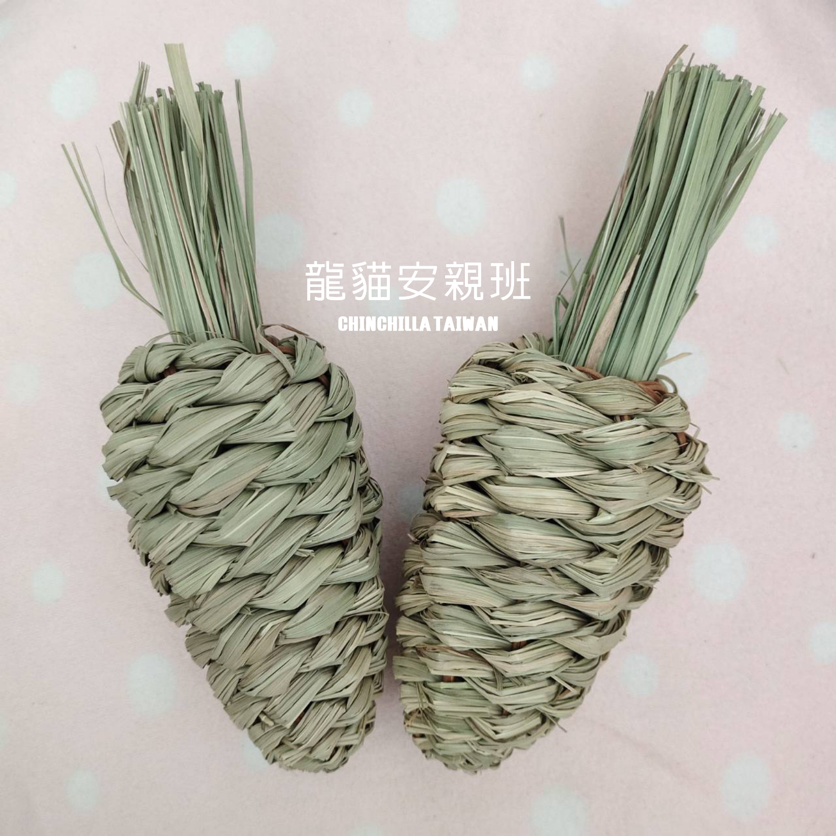 🏡龍貓安親班🏡［台灣現貨］手工編織提摩西蘿蔔好棒棒1入 小寵物安全玩具 解悶玩具 龍貓 鼠兔 鸚鵡 高雄實體店