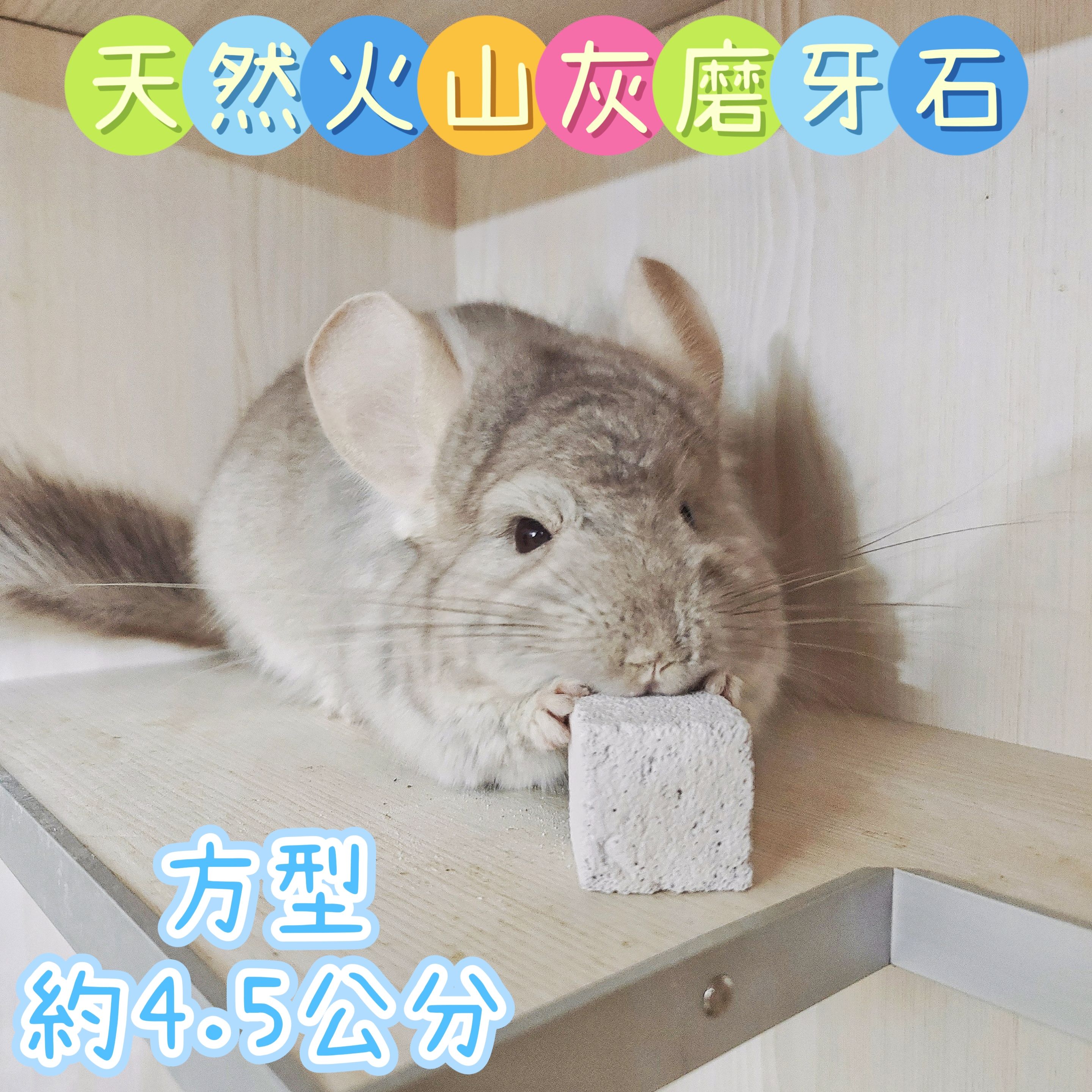🏡龍貓安親班🏡［台灣現貨］天然火山灰 方形磨牙石 龍貓 鼠兔 寵物磨牙石 無添加鈣粉 高雄實體店