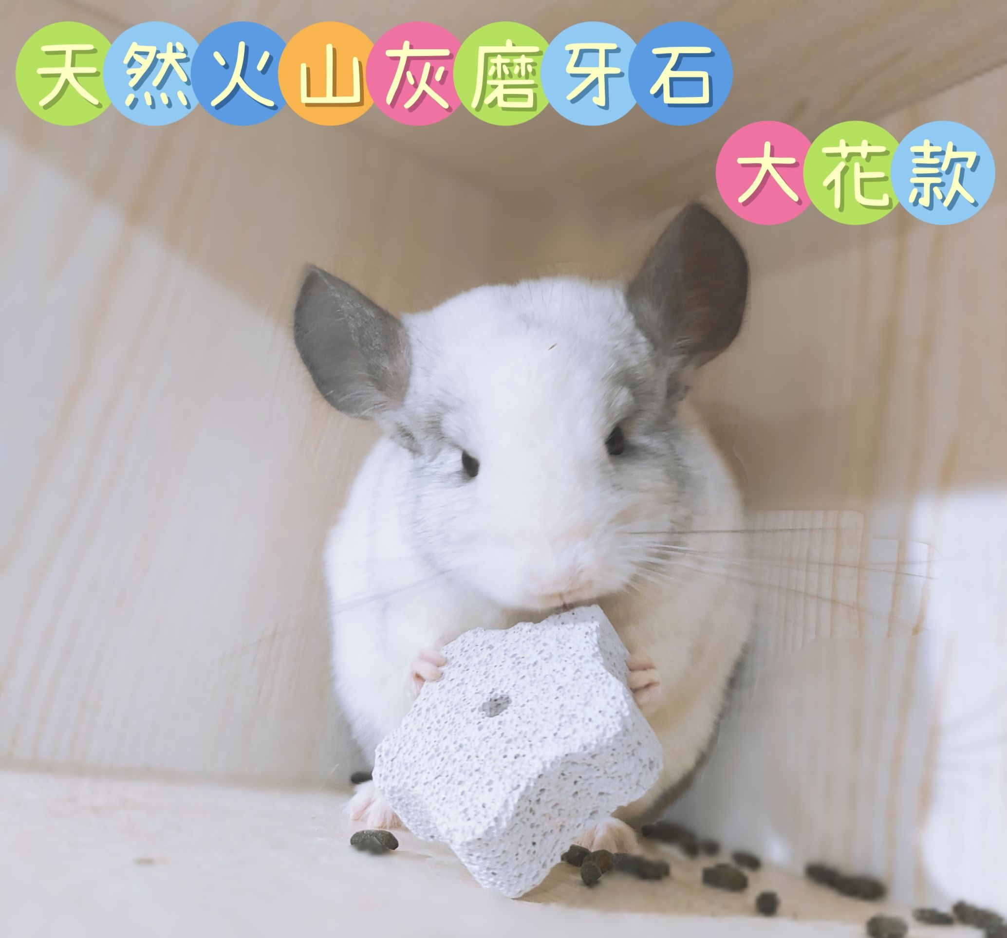 🏡龍貓安親班🏡［台灣現貨］天然火山灰 大花形磨牙石 龍貓 鼠兔 寵物磨牙石 無添加鈣粉 高雄實體店