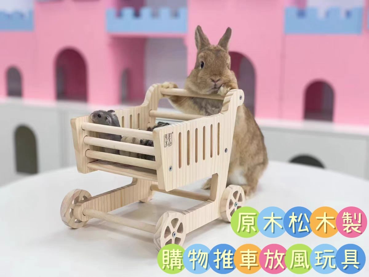 🏡龍貓安親班🏡［台灣現貨］天然松木製 原木推車 輪子可動 購物車 啃木 磨牙 小寵玩具 拍照 放風 兔子 天竺鼠