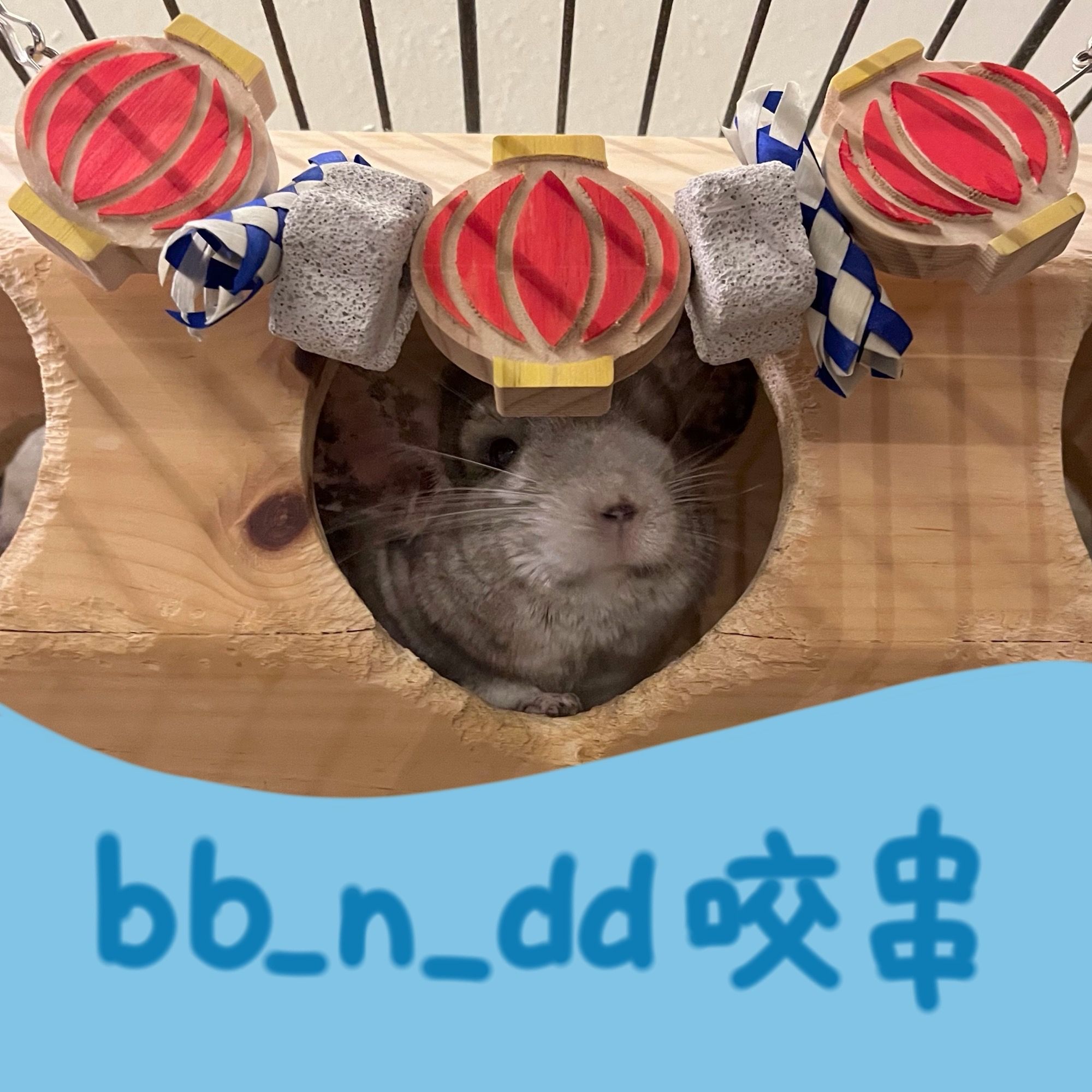 🏡 bbndd×龍貓安親班🏡安全咬串吊飾 龍貓磨牙玩具 多造型 任意吊掛
