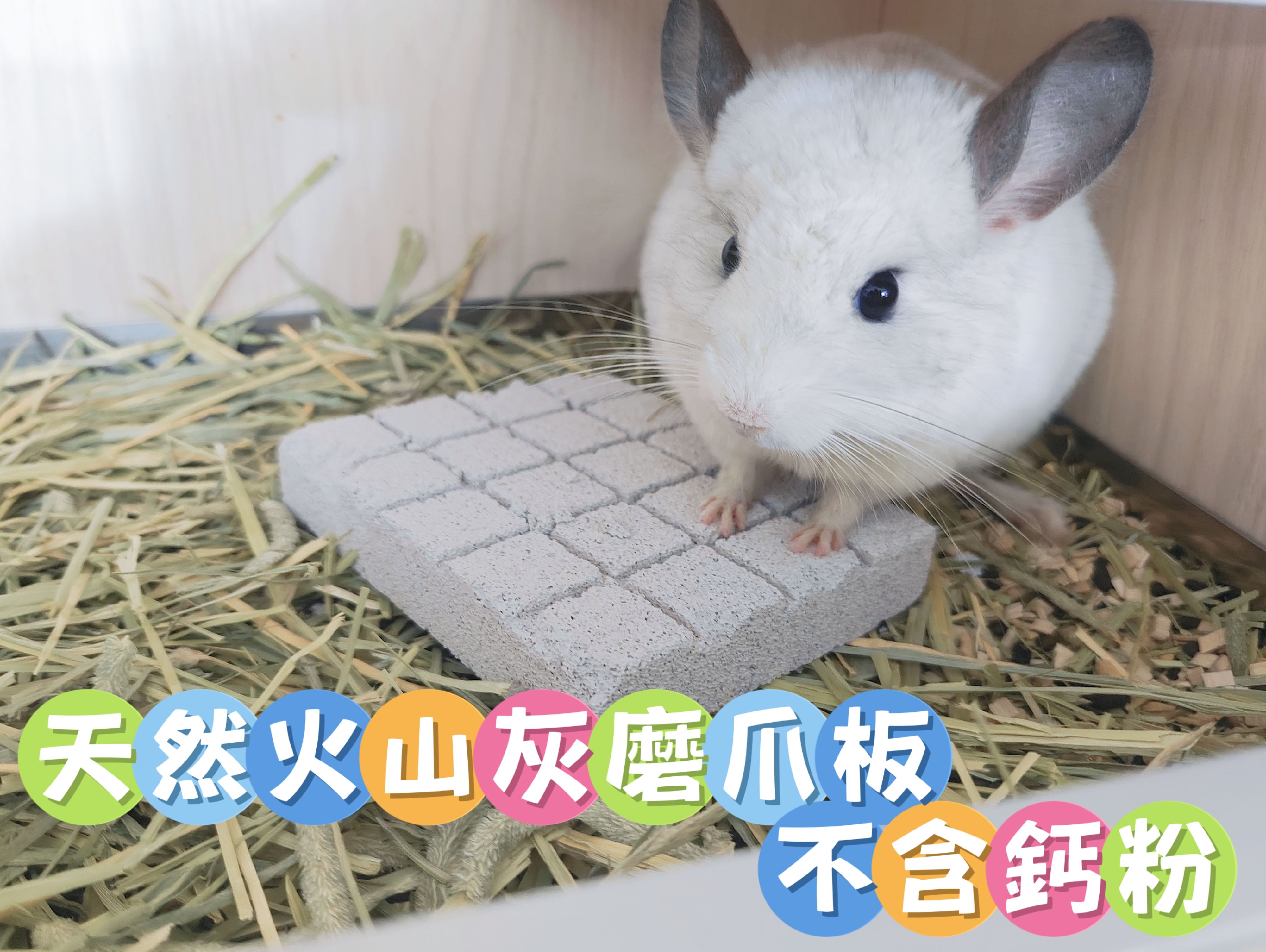🏡龍貓安親班・高雄總店🏡「台灣現貨」天然火山灰磨爪板 不含鈣粉 安全耐用 龍貓 天竺鼠 倉鼠 適用