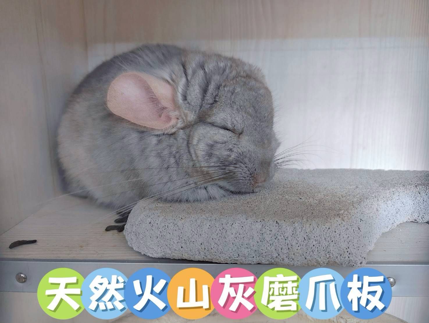 🏡龍貓安親班•高雄總店🏡［台灣現貨]天然火山岩磨爪板 龍貓專用 磨爪 磨牙 涼感踏板 不含鈣粉