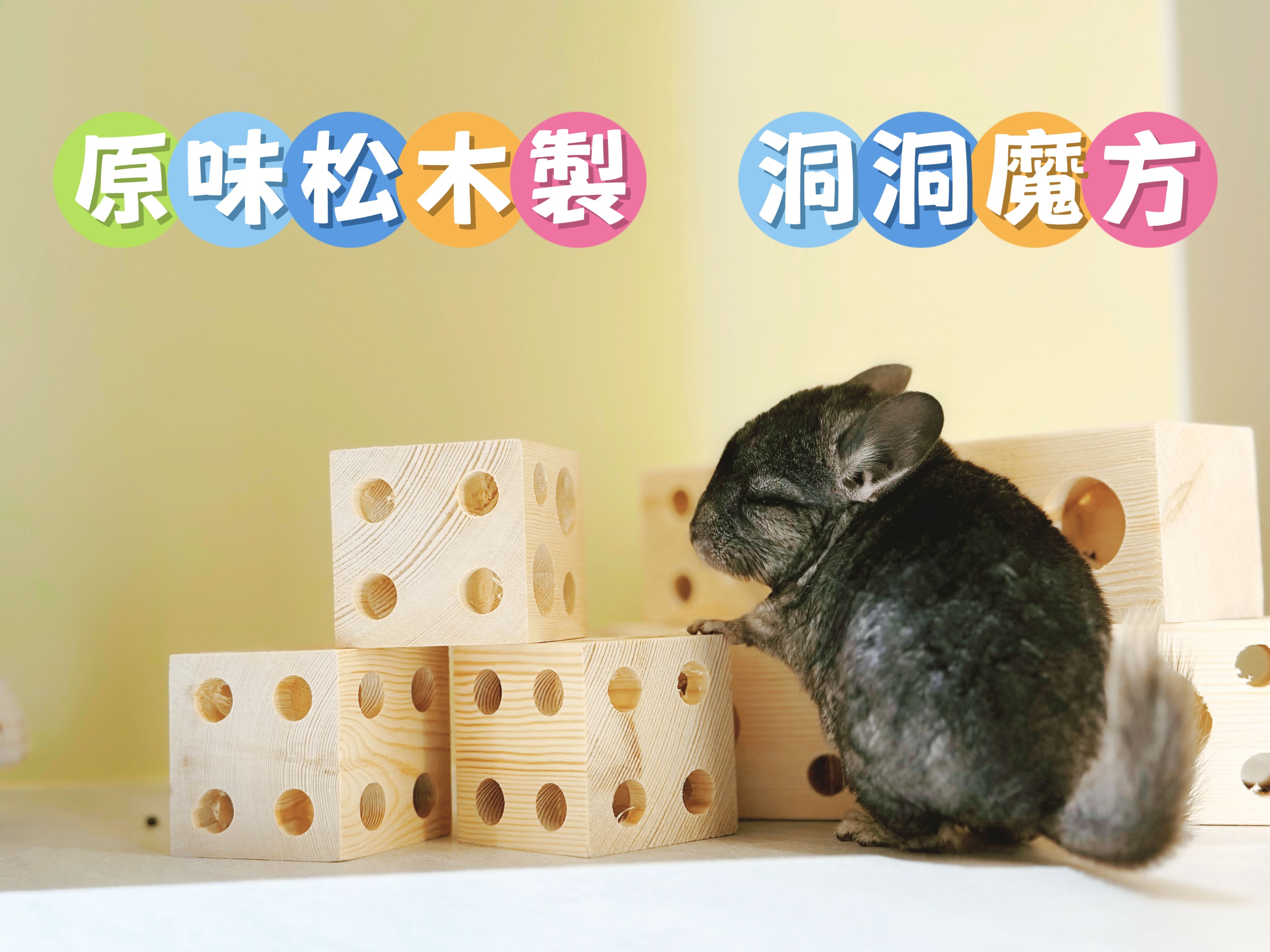 🏡龍貓安親班•高雄總店🏡【台灣現貨】天然松木製🪵原木洞洞魔方 木玩具 磨牙玩具 小寵物玩具 鼠兔