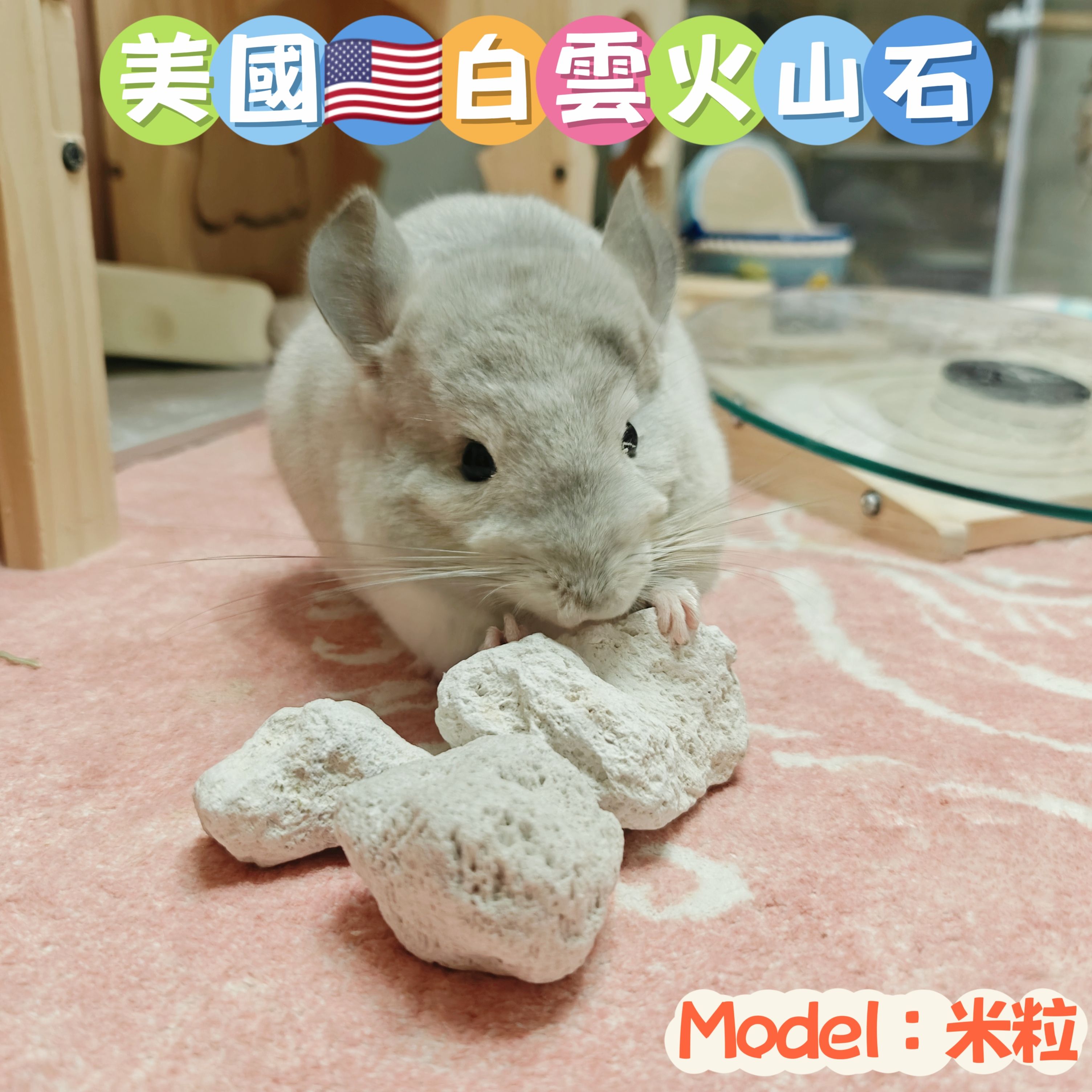 🏡龍貓安親班•高雄總店🏡【台灣現貨】🇺🇸美國進口 白雲火山石 天然潔牙石 磨牙石 解悶 兔子 天竺鼠