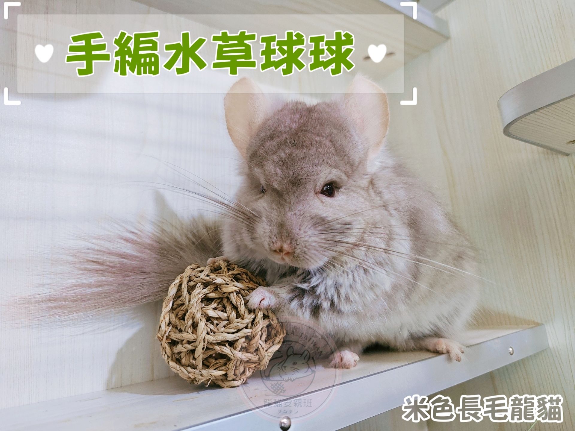 🏡龍貓安親班•高雄總店🏡【台灣現貨】磨牙玩具 手工編織 水草球球 龍貓 兔子 天竺鼠 解悶玩具