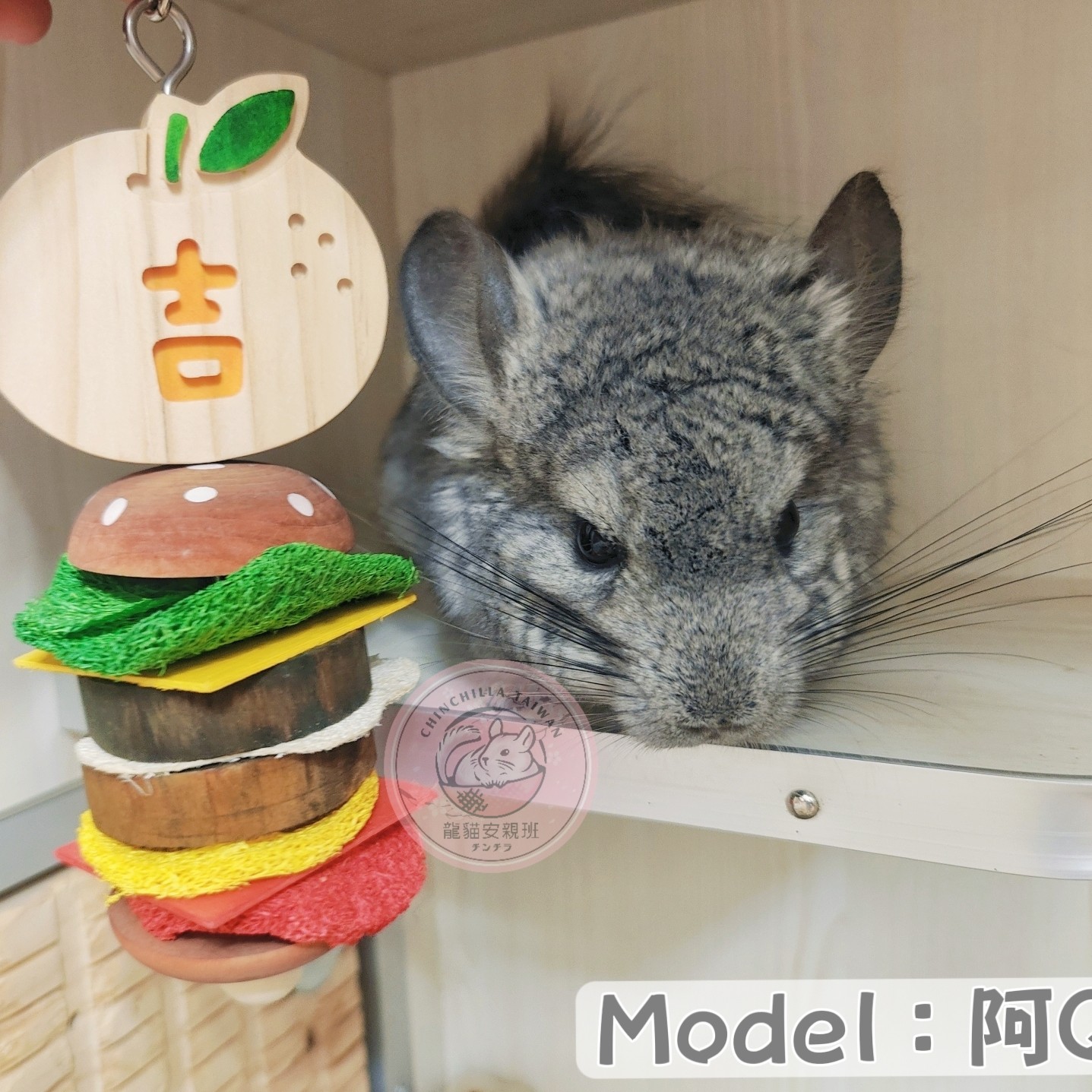 🏡龍貓安親班•高雄總店🏡［台灣現貨］磨牙漢堡咬串 解悶 元寶 橘子 絲瓜絡 原木 兔子 啃咬 吊掛