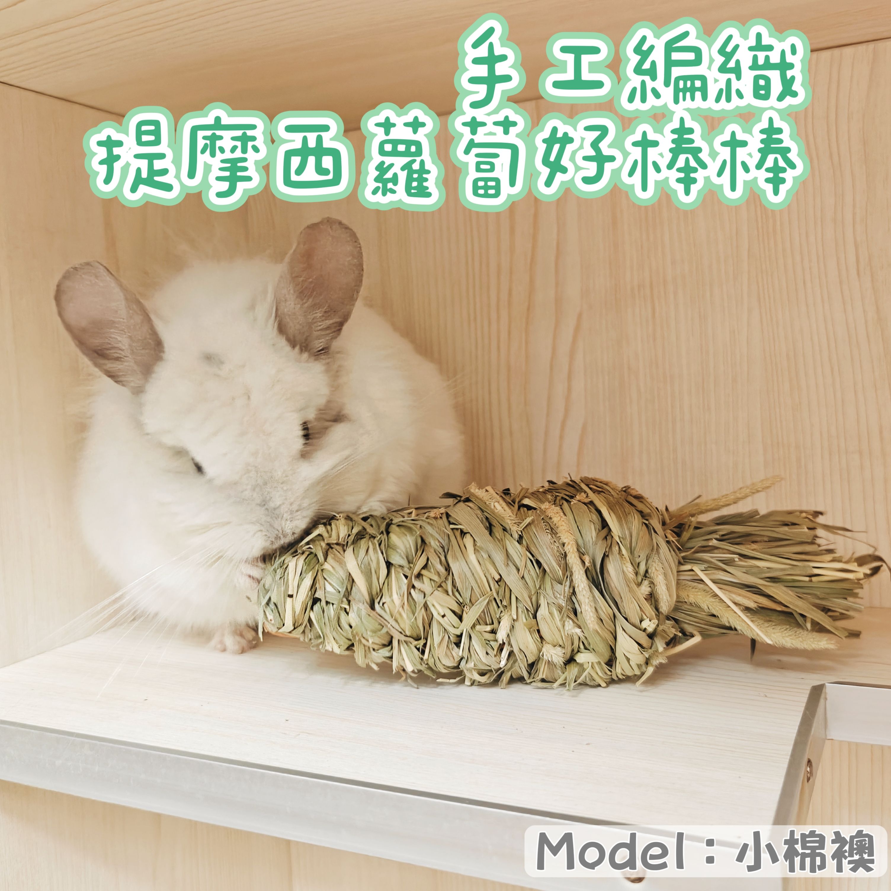 🏡龍貓安親班•高雄總店🏡［台灣現貨］手工編織提摩西蘿蔔好棒棒 磨牙解悶玩具 兔子 天竺鼠
