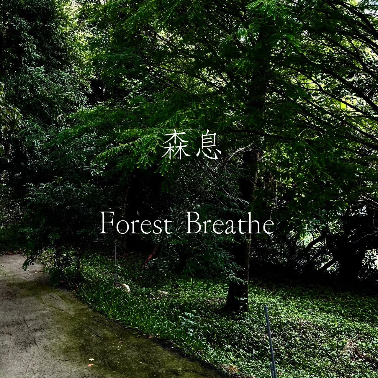 深度呼吸 I 森息 木質調 I TheHours香氛蠟燭