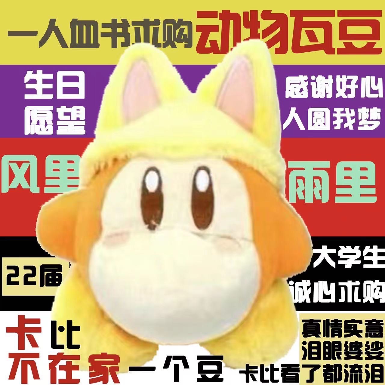 卡比瓦豆找新家