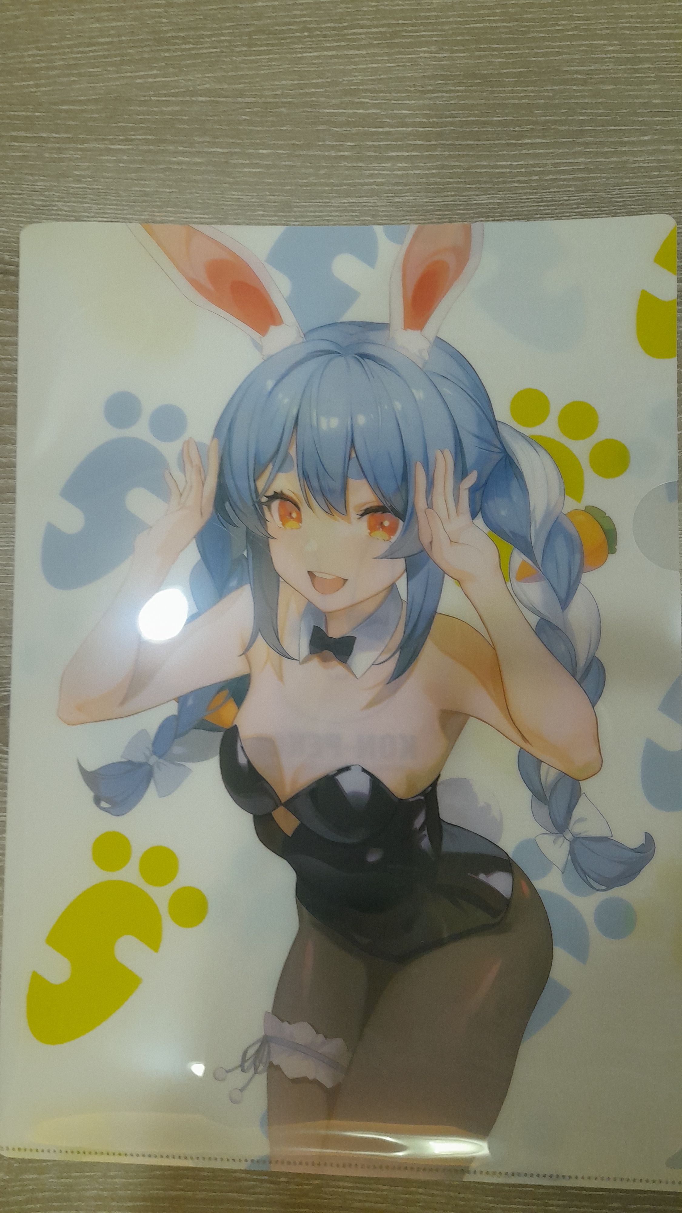 鯊鯊、兔田資料夾