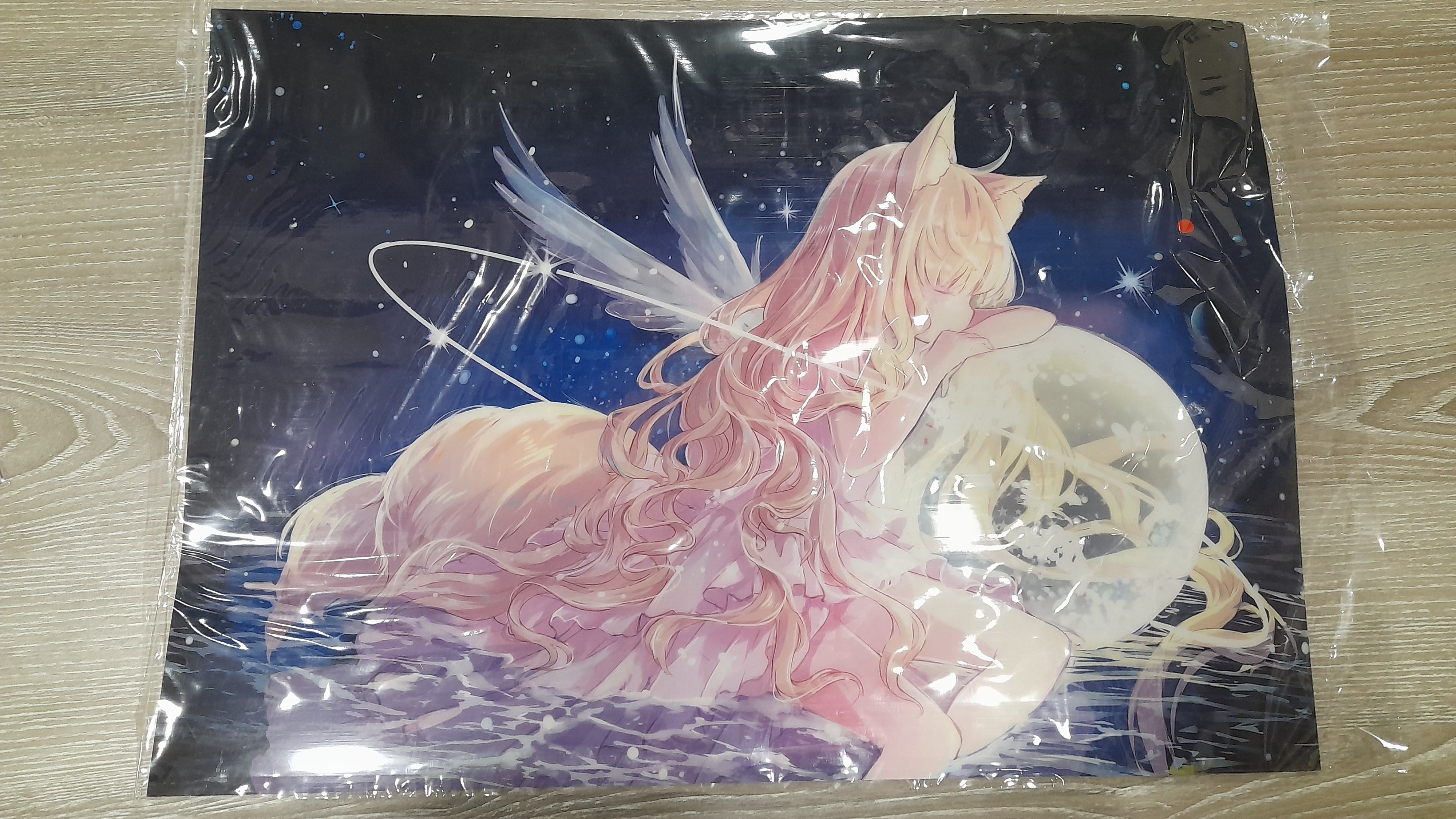 貓兒迷雅 PVC 海報