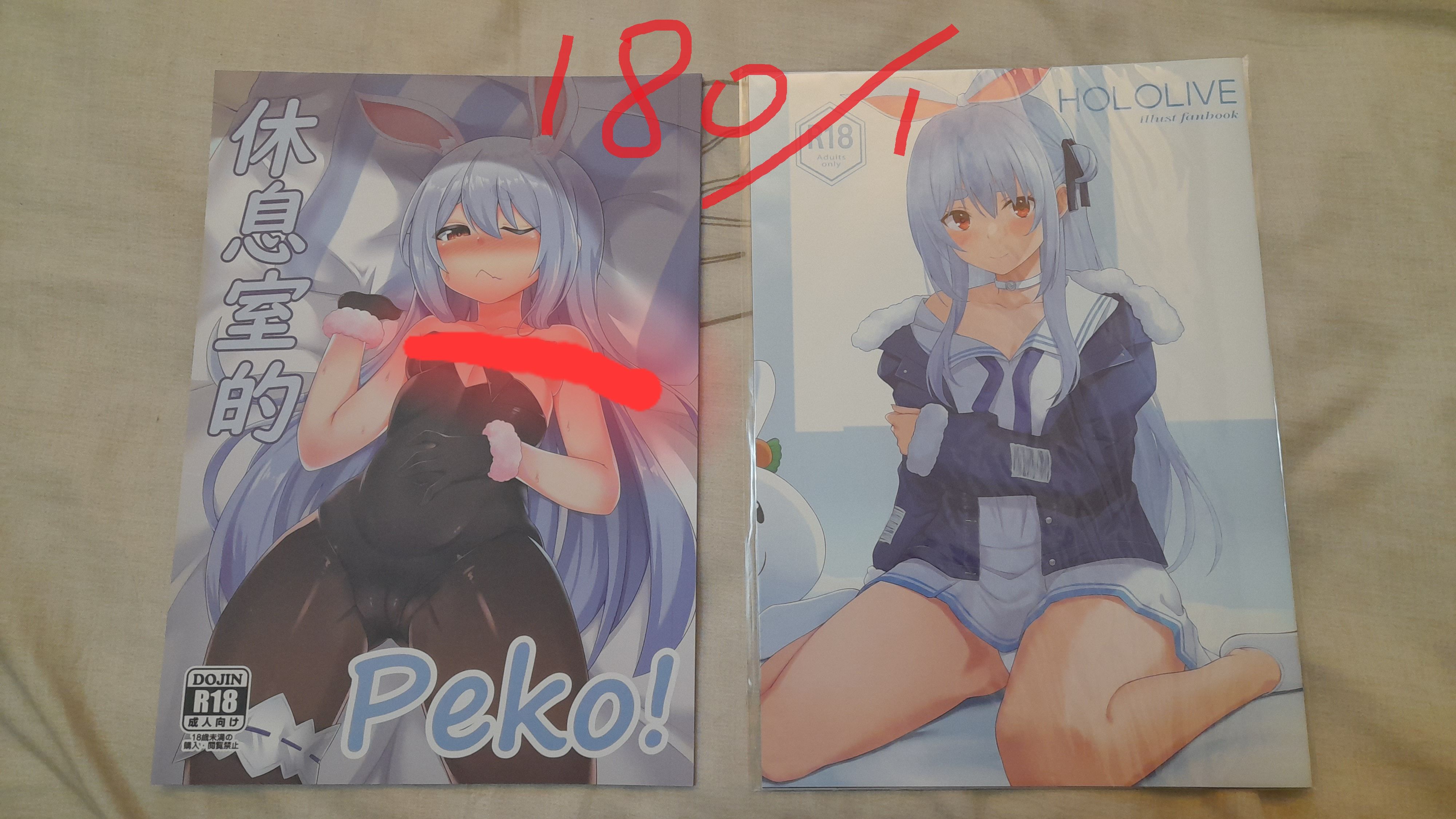 Hololive 兔田 同人本