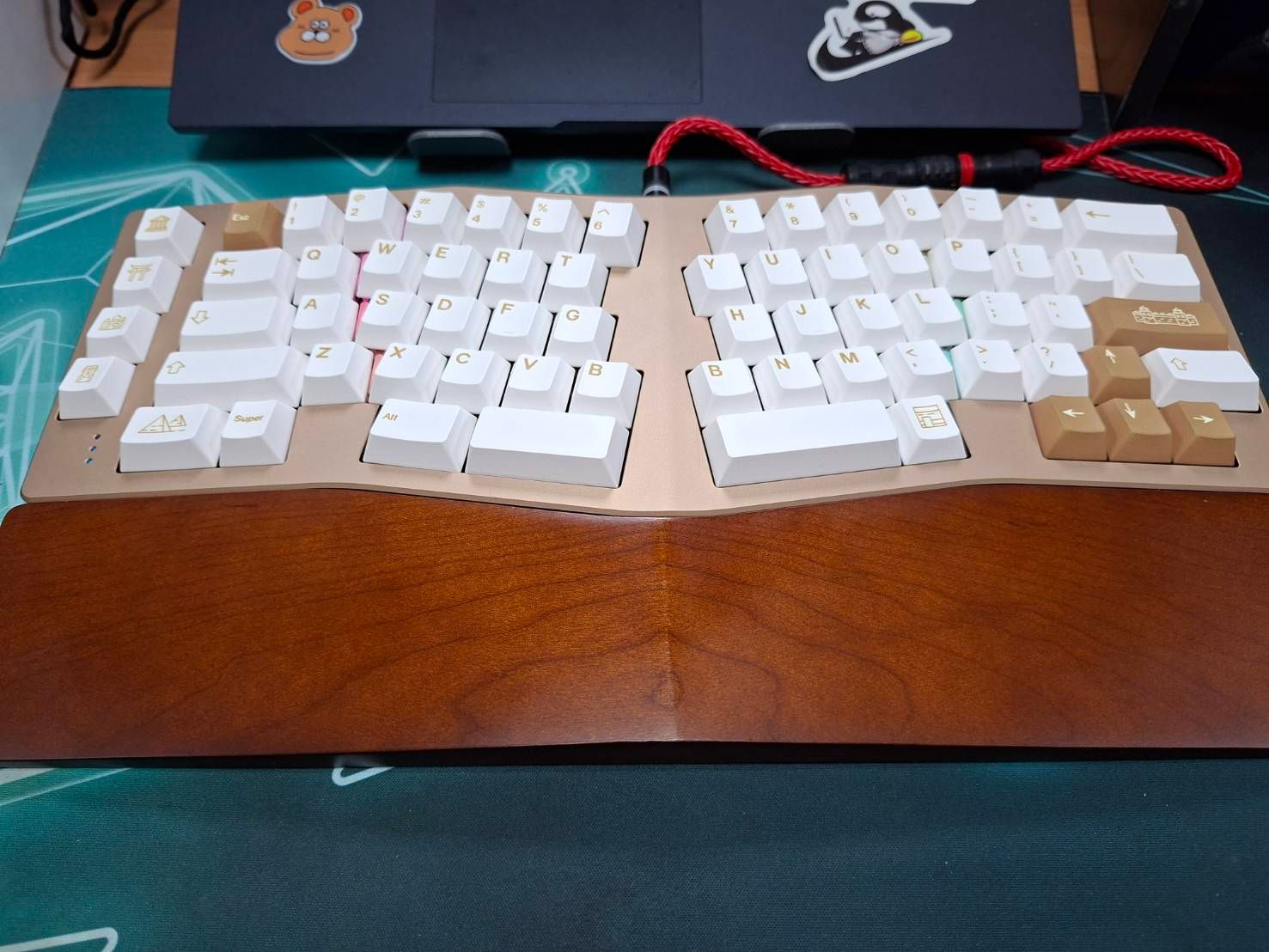 Neo Ergo 鍵盤套件（無軸帽） 【單模】