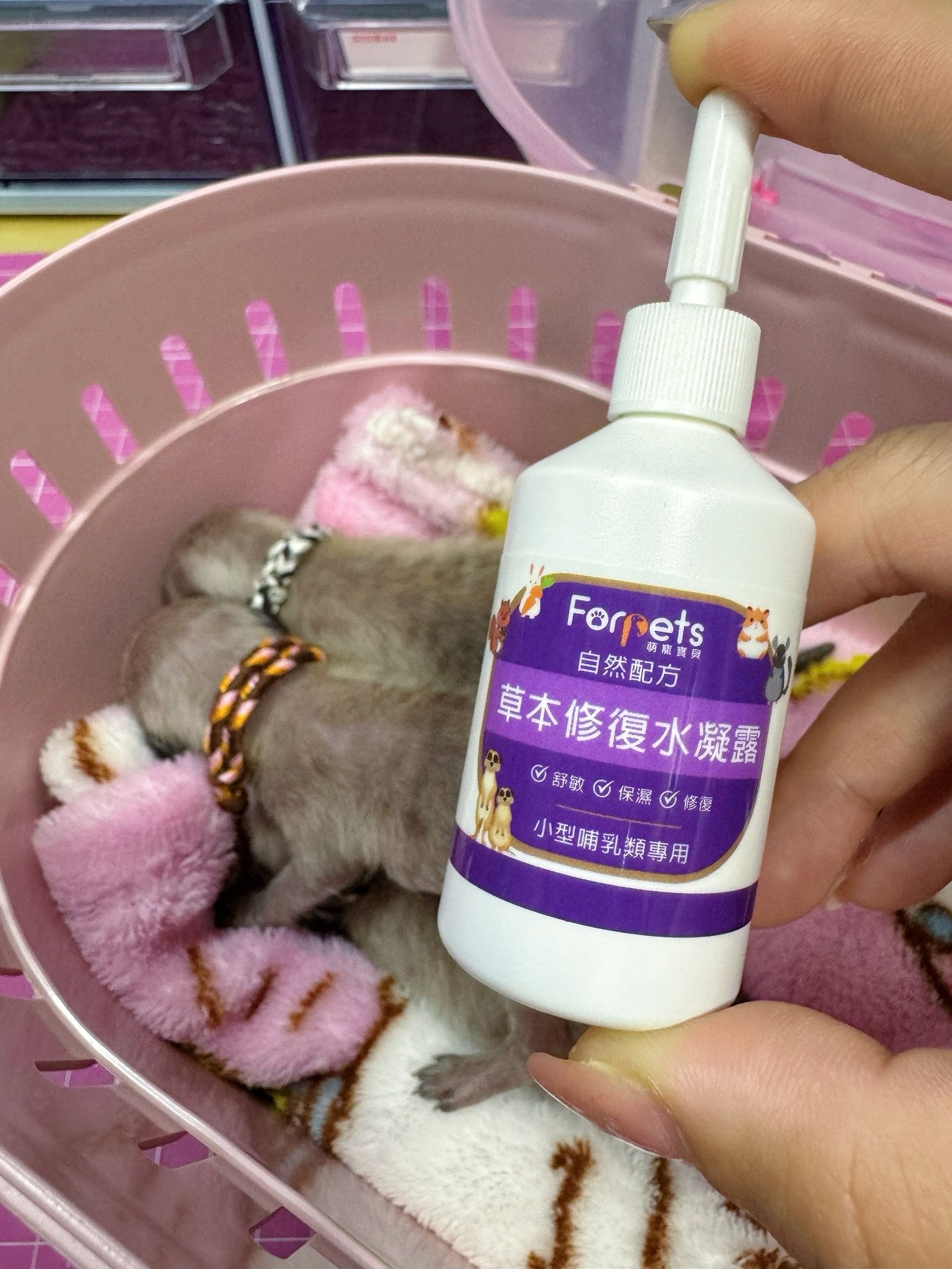 Forpets萌寵寶貝-草本修復水凝露  小茶包代言~修復皮膚淺層傷口 改善發紅 皮膚異狀