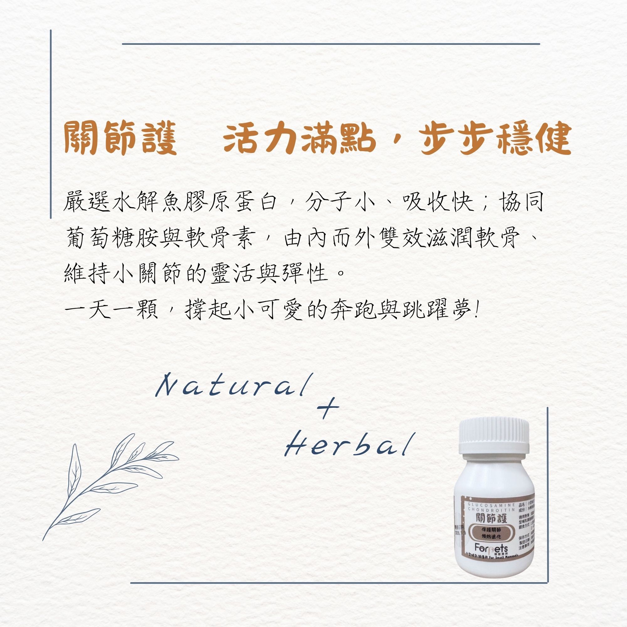 萌寵寶貝-關節護（口服保健食品）預防關節退化~~新上市
