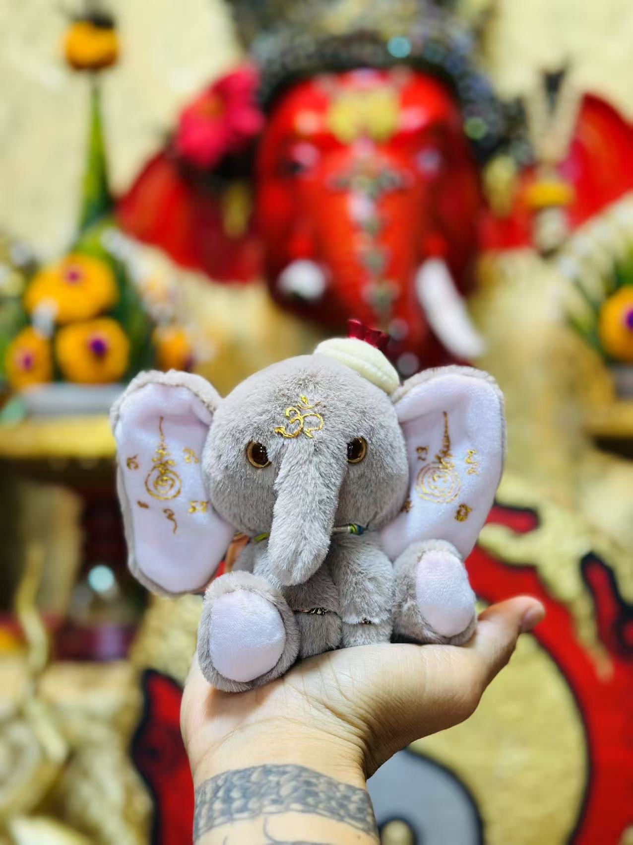 小象神，可愛😍的祂 必須擁有庇護