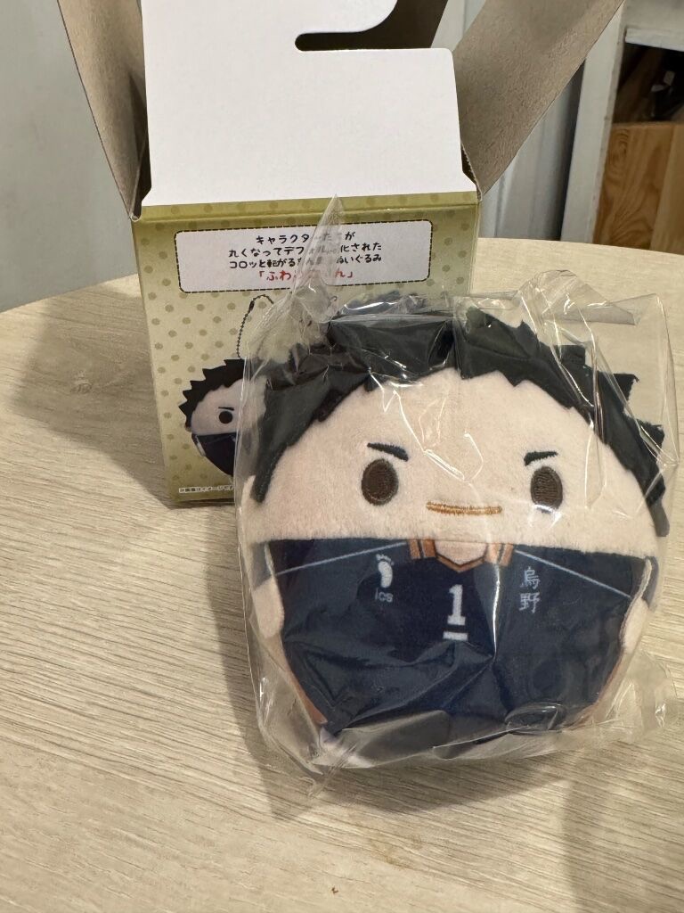 噗浪限定賣場_排球大地圓滾滾