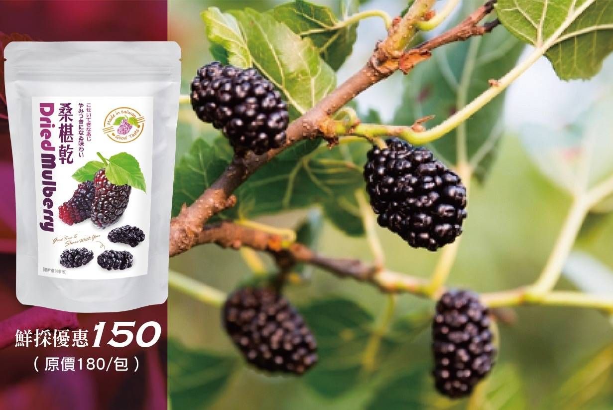 桑椹果乾【人氣商品】