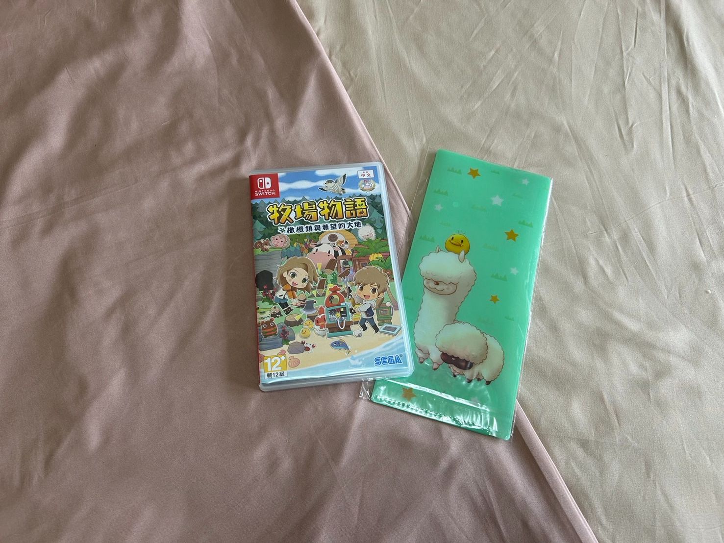 Switch遊戲片 牧場物語 橄欖鎮與希望大地 中文 （附贈品） 二手