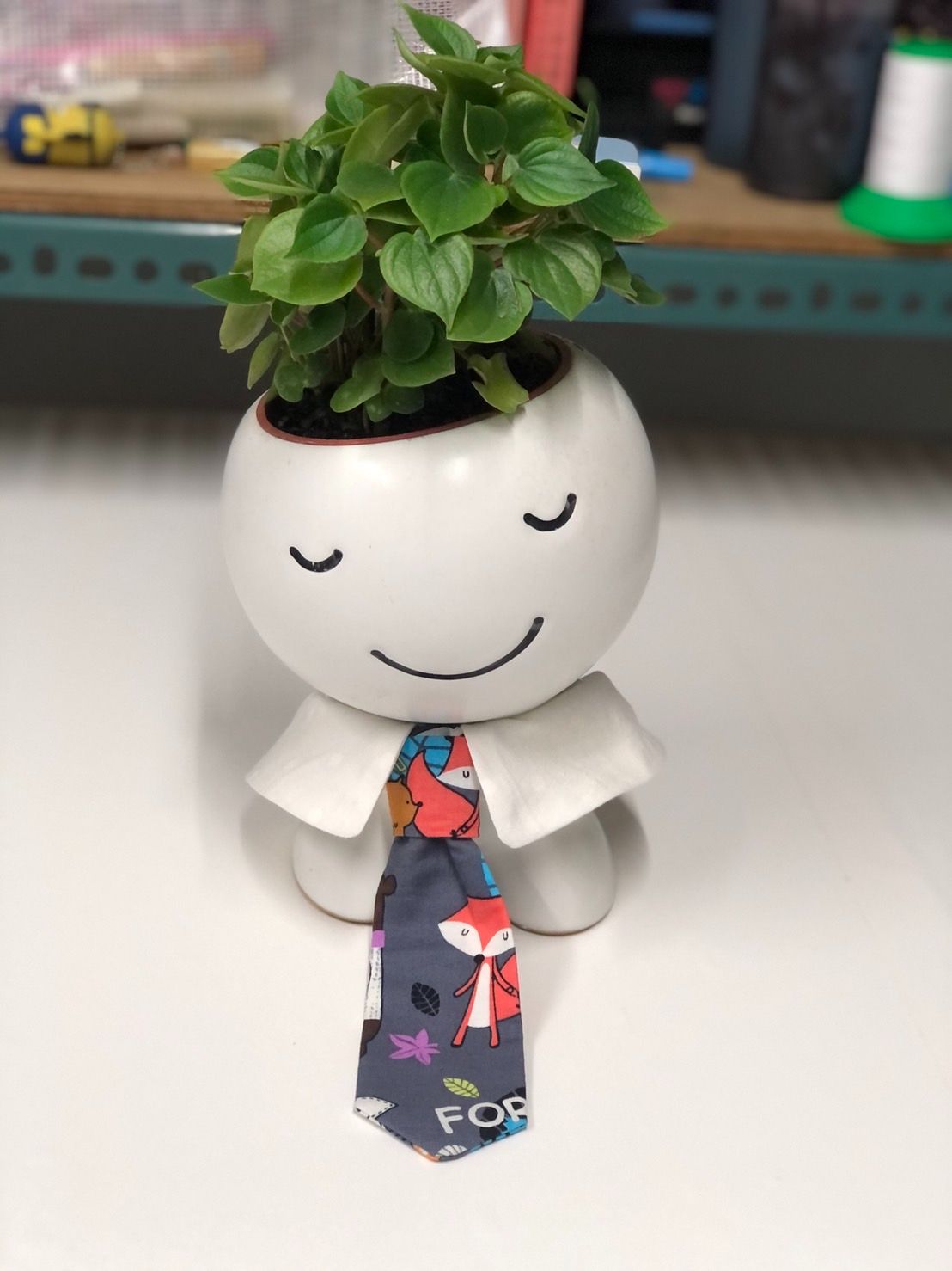 寵物領帶材料包