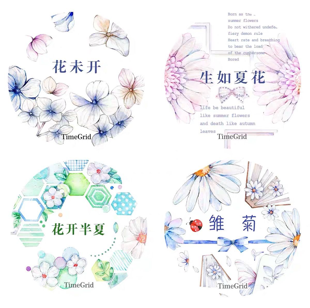 時間格子【循環分裝】