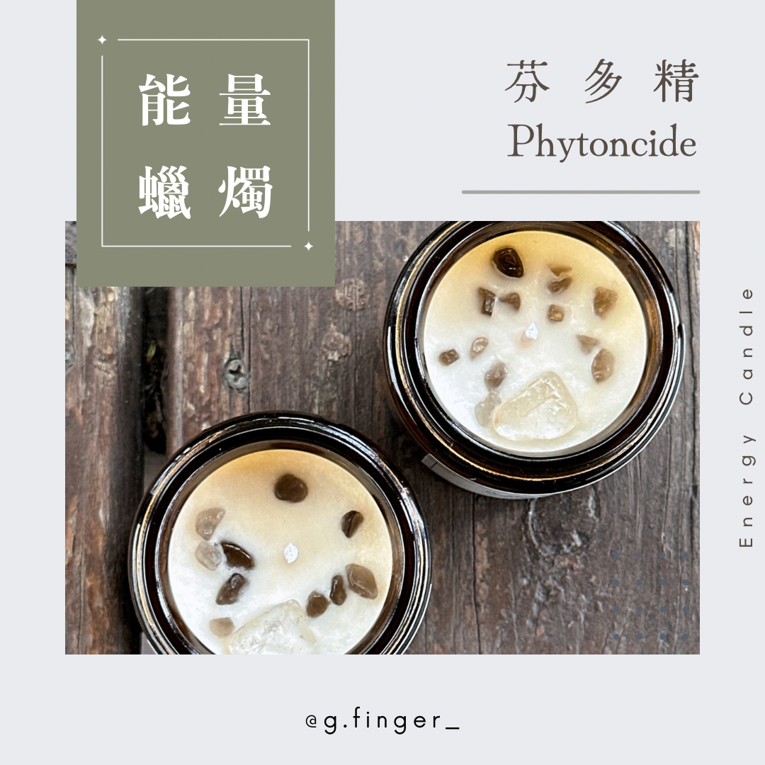 能量蠟燭。《芬多精》