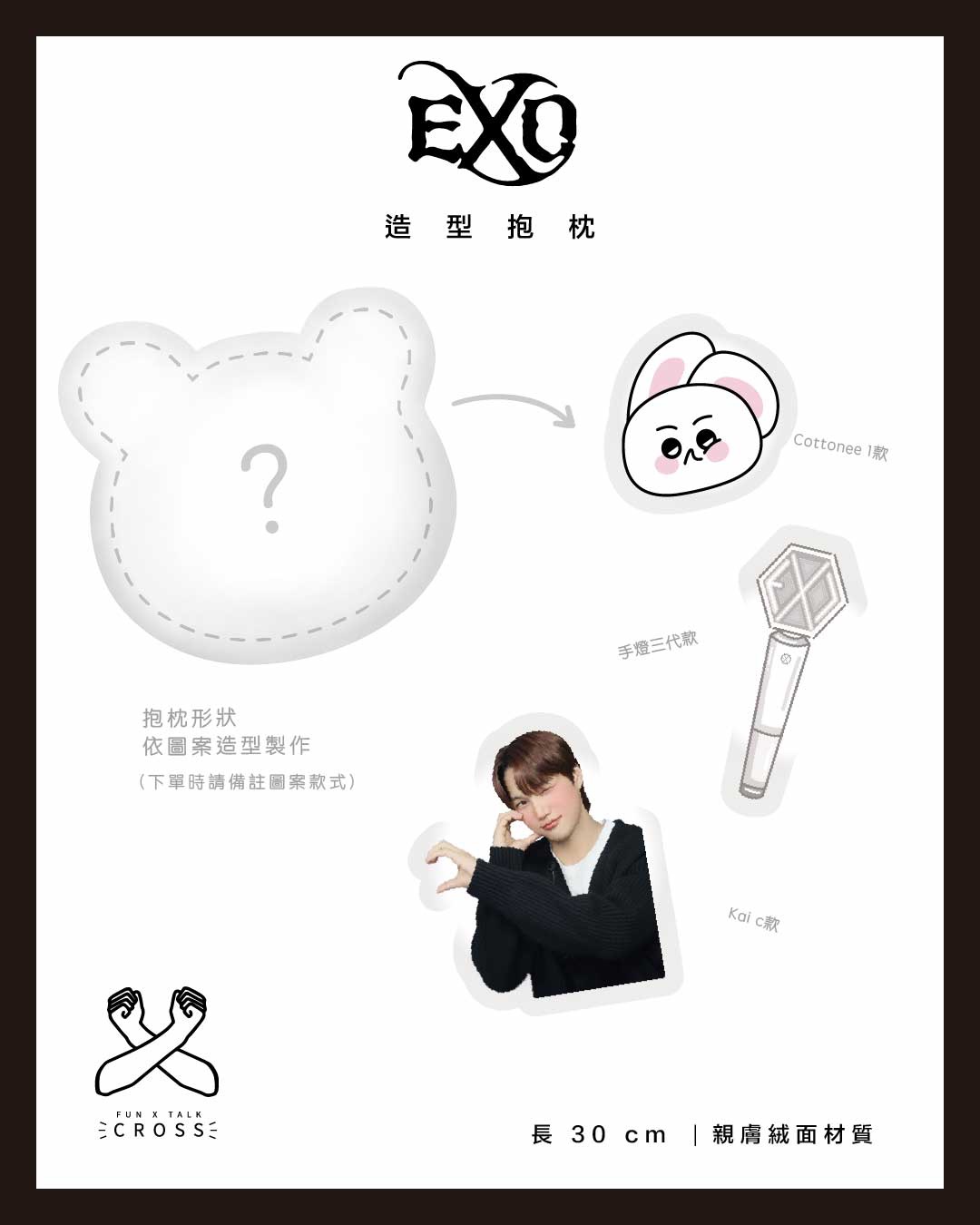 EXO 造型抱枕! 【預購商品，無法面交，限超取】（請點圖看更多選項）