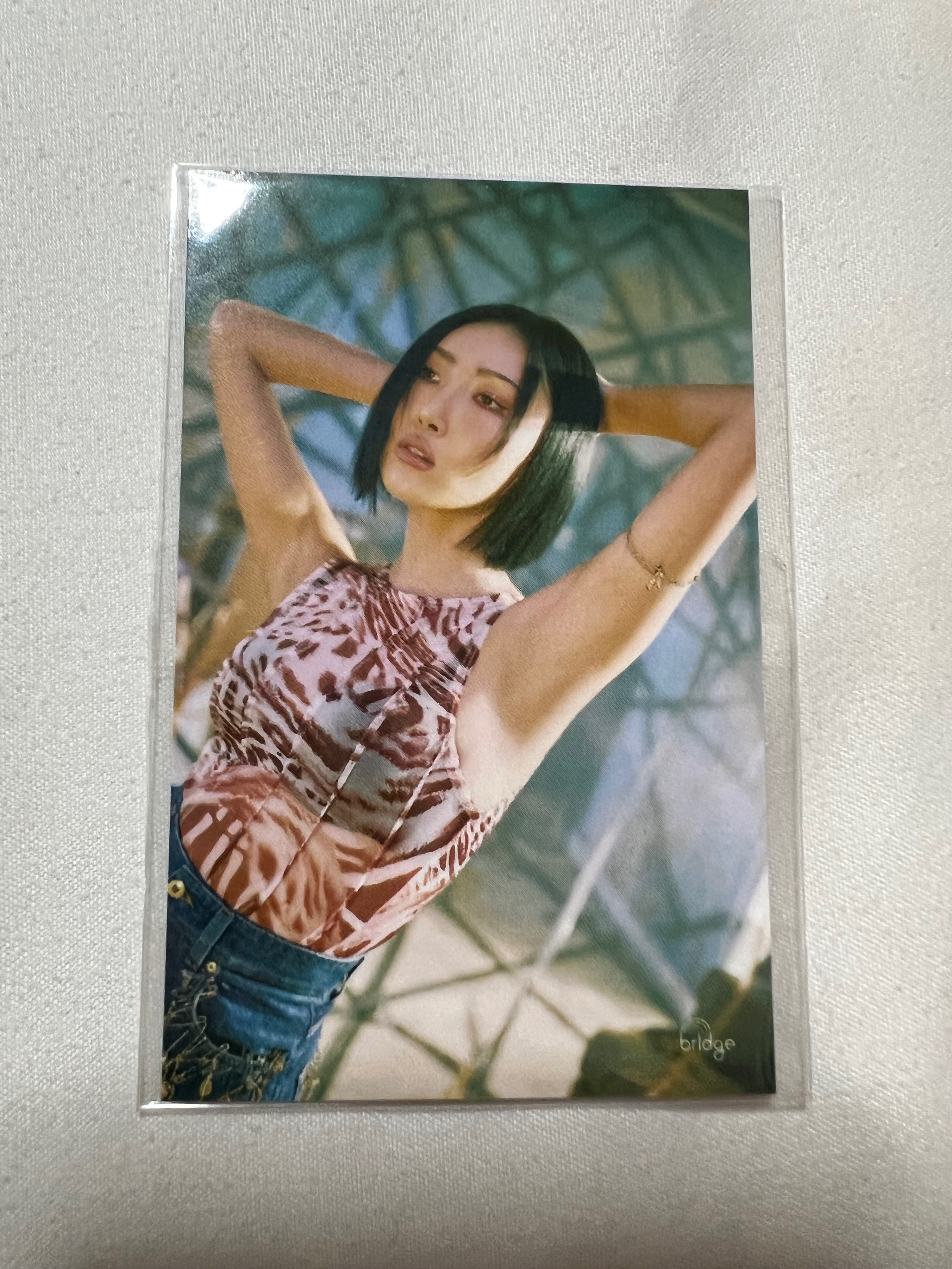彩虹橋咖啡廳小卡