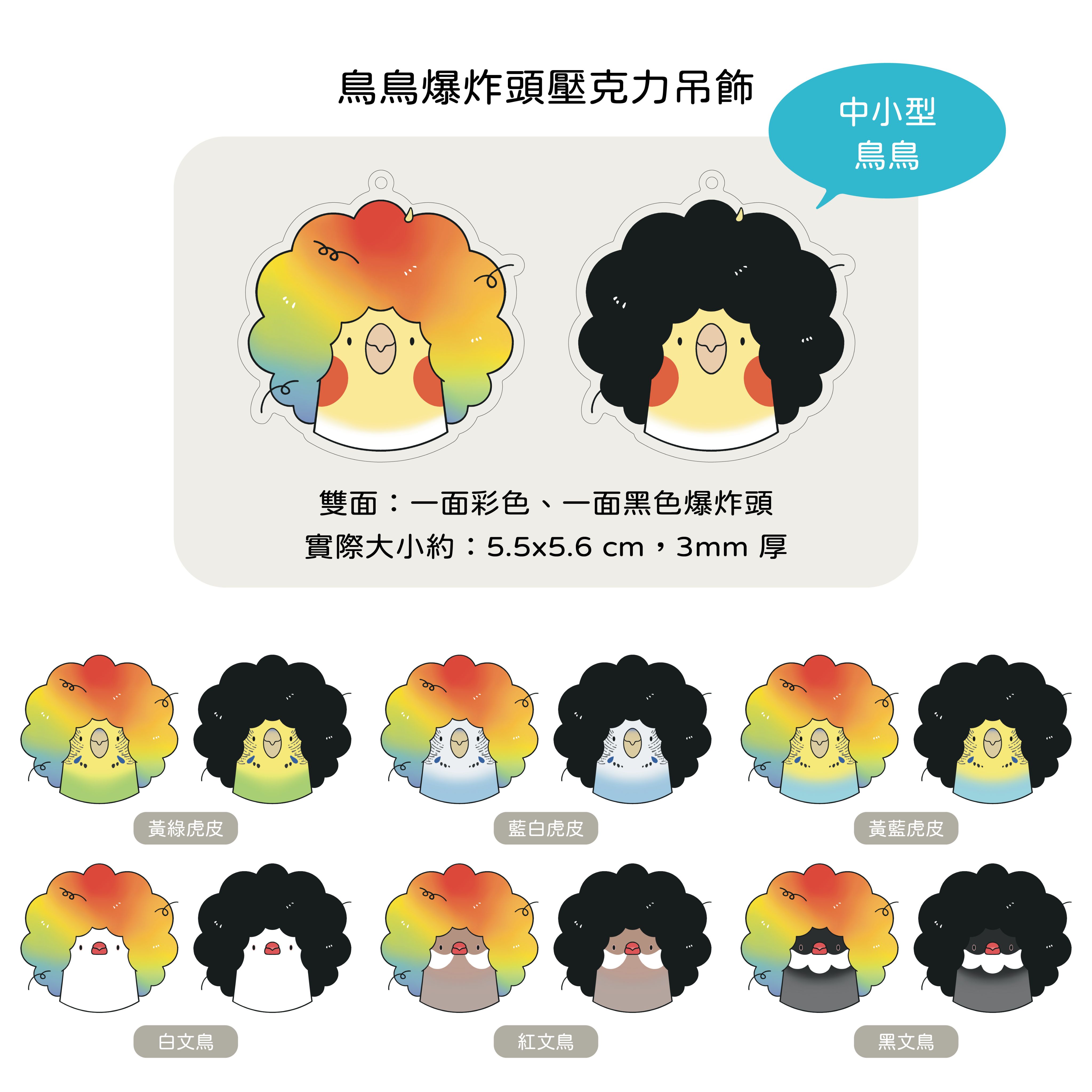 鳥鳥爆炸頭壓克力吊飾 中小型鳥賣場
