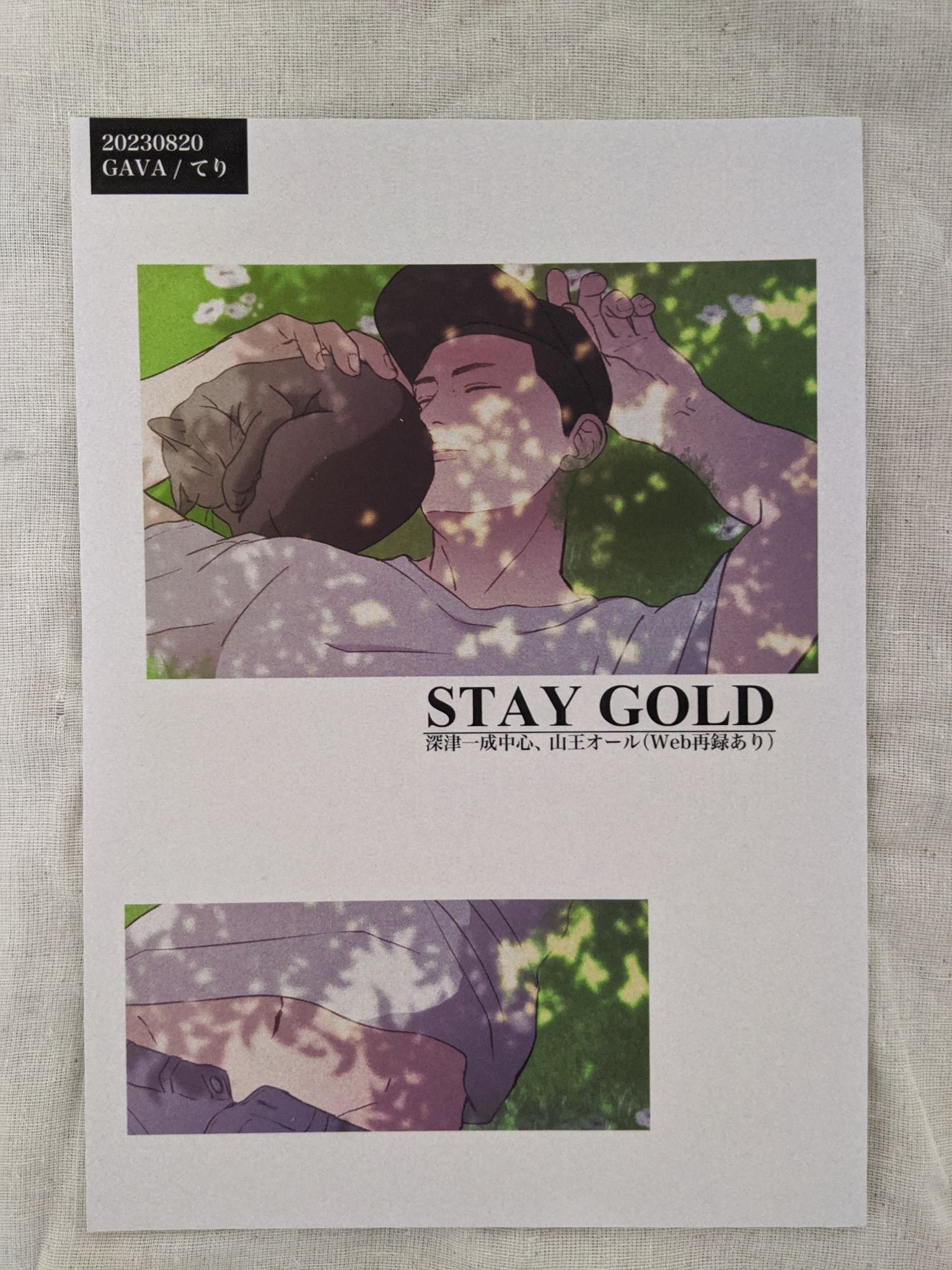 てり《STAY GOLD》