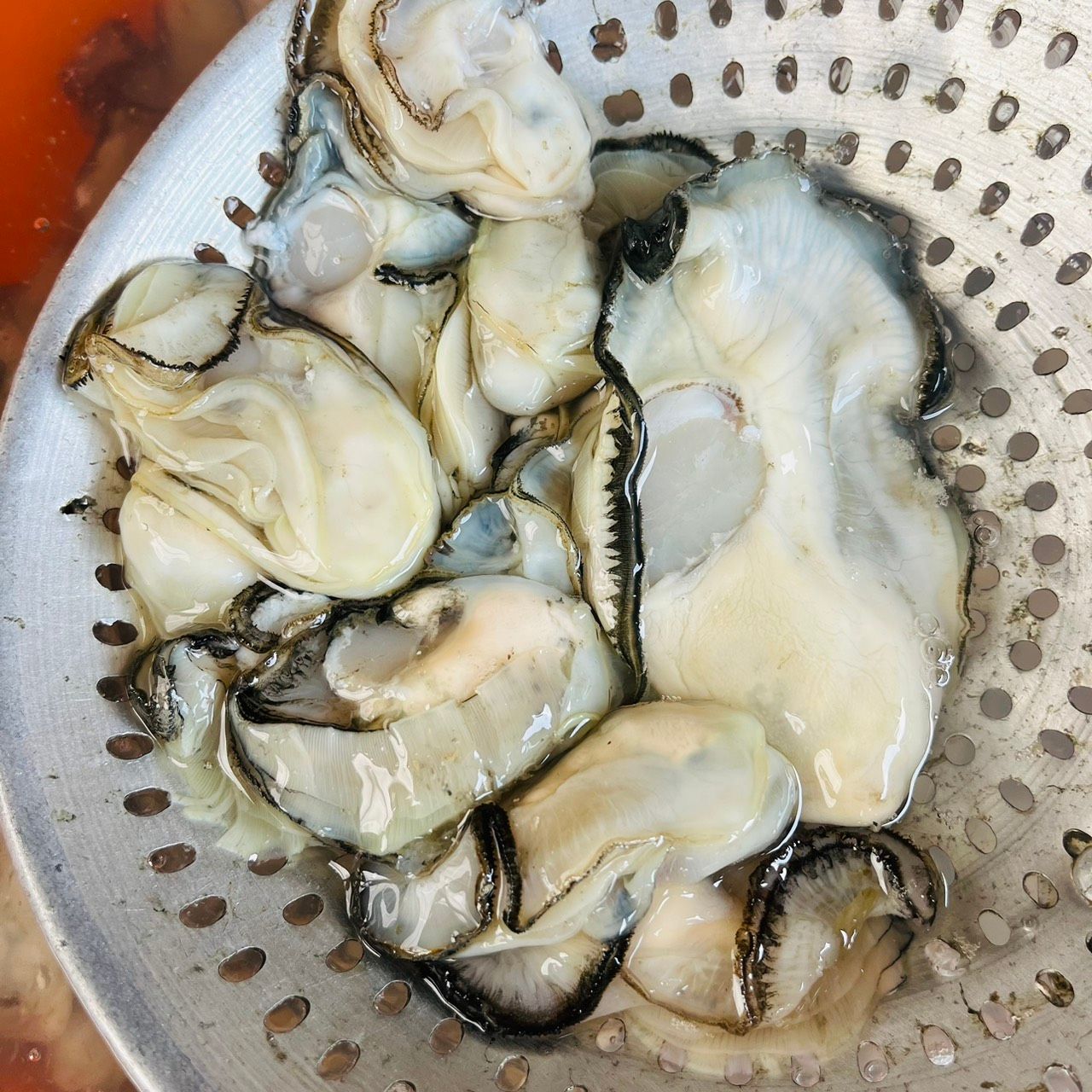 New!!正港東石蚵強勢回歸!!