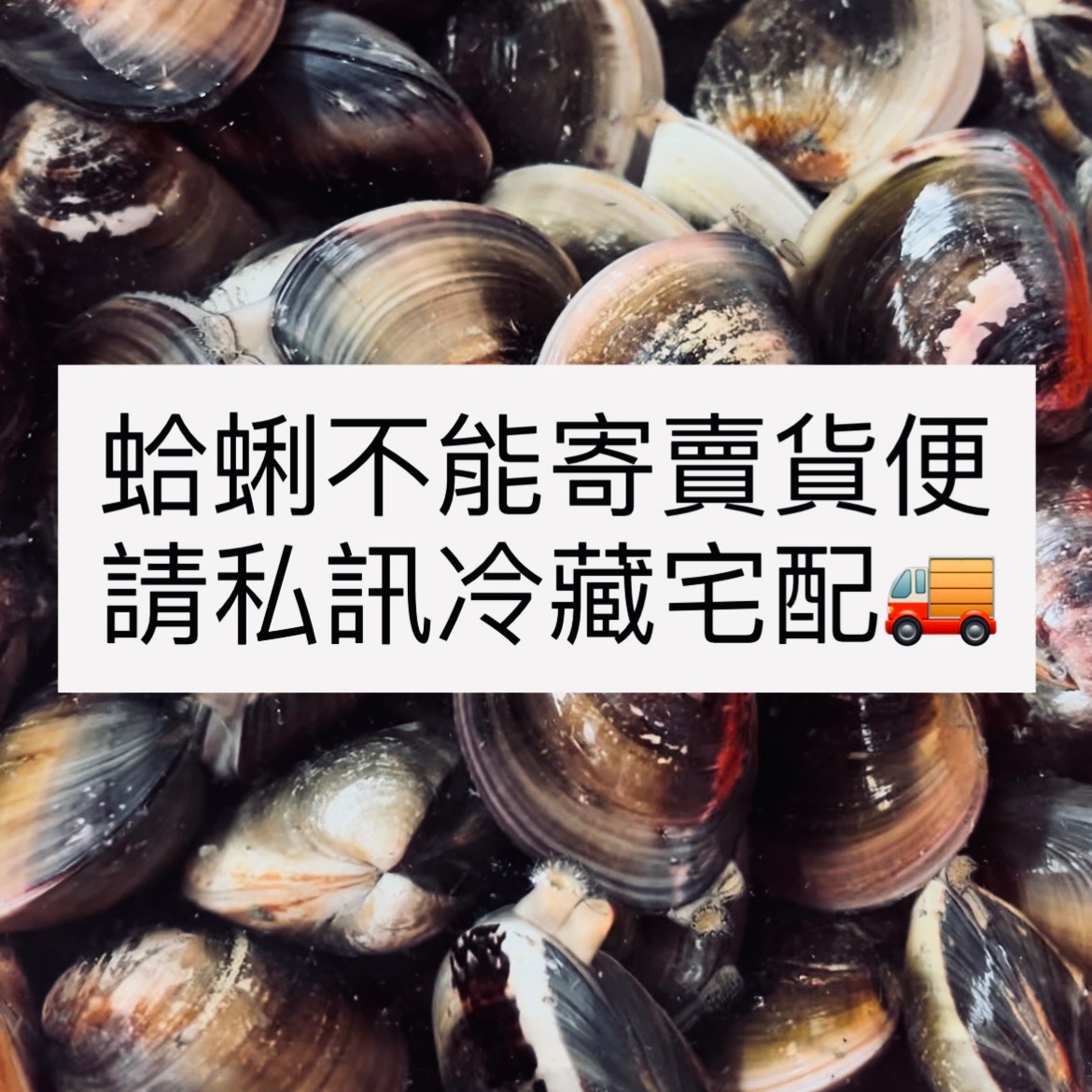 蛤蜊不能寄賣貨便請私訊千金訂購