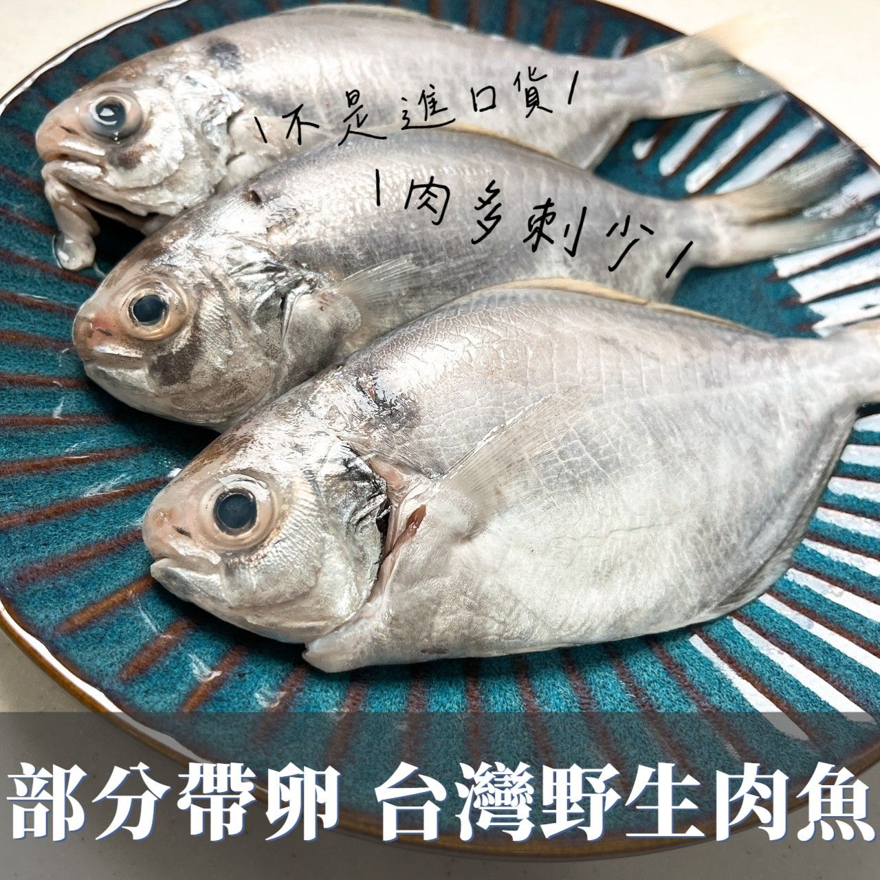 台灣野生肉魚!!（三隻入）