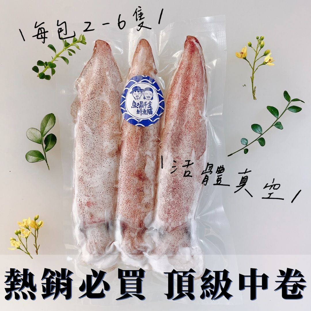 強勢回歸!!✨頂級中卷✨