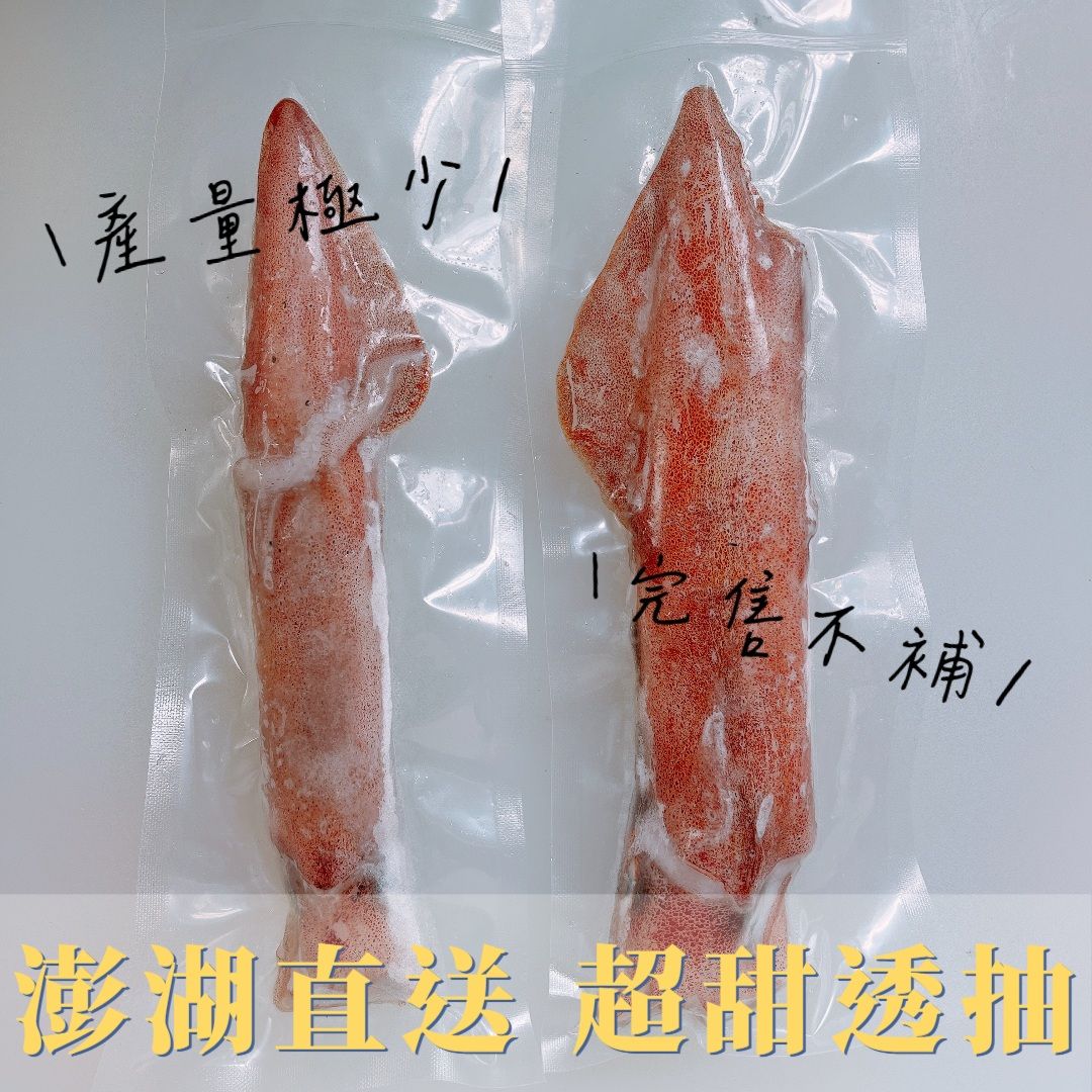 New!!✨澎湖直送✈超甜透抽（單隻入）