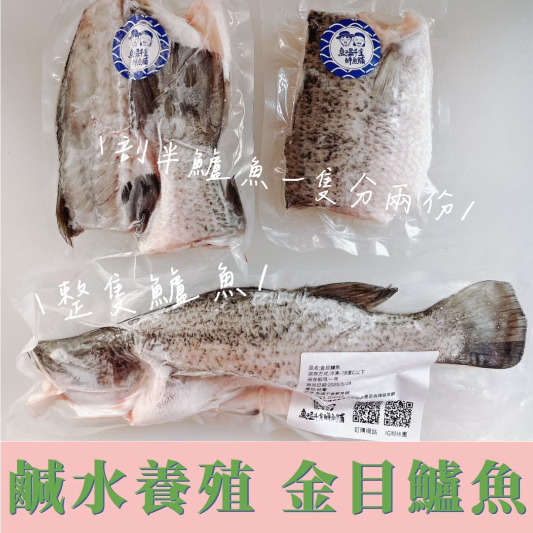 鹹水金目鱸魚