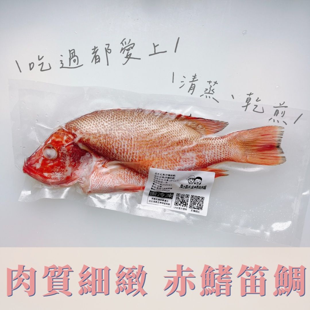 肉質細緻好吃！紅魚（赤鰭笛鯛）
