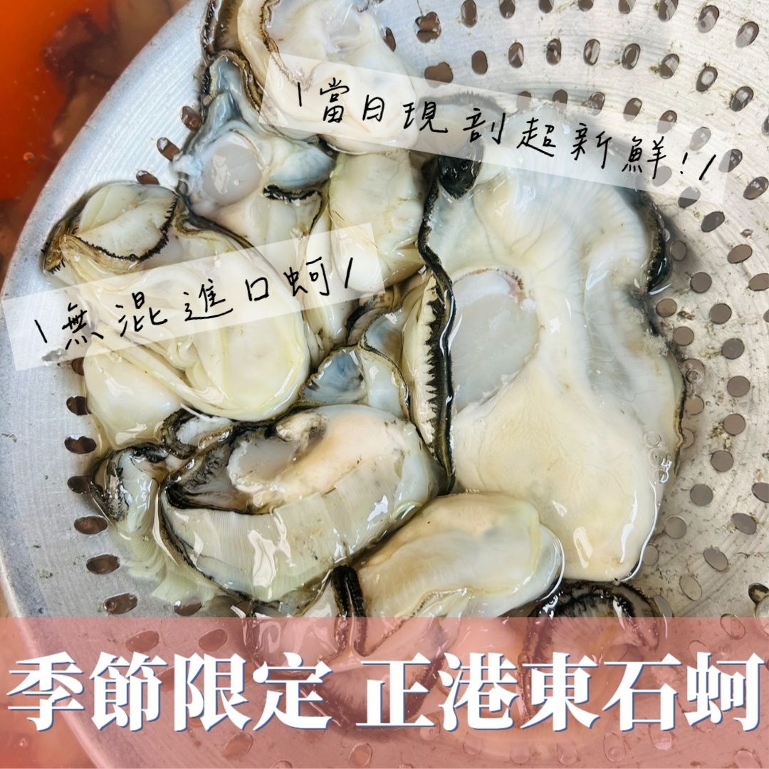 東石蚵仔肥來了!!!!