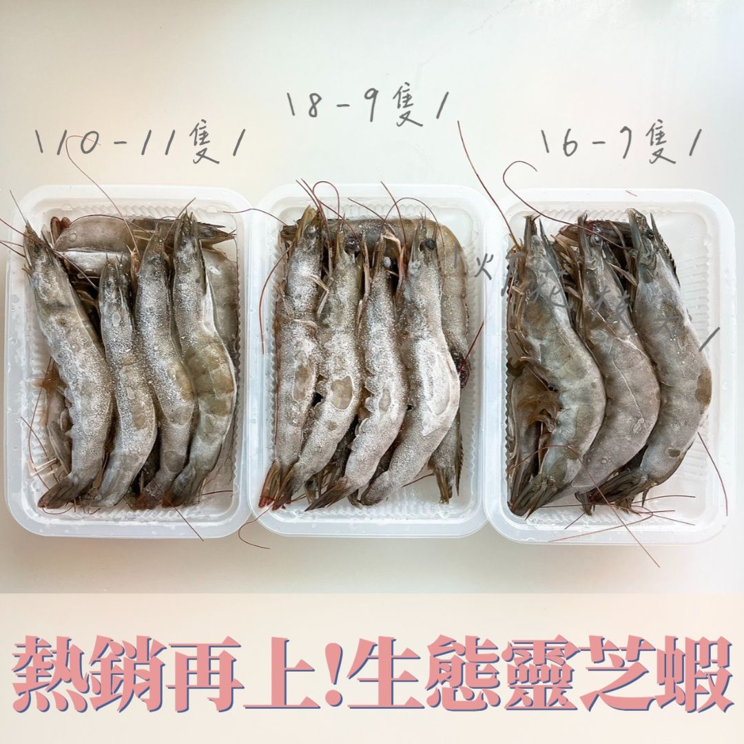 New!!!✨頂級靈芝蝦300克