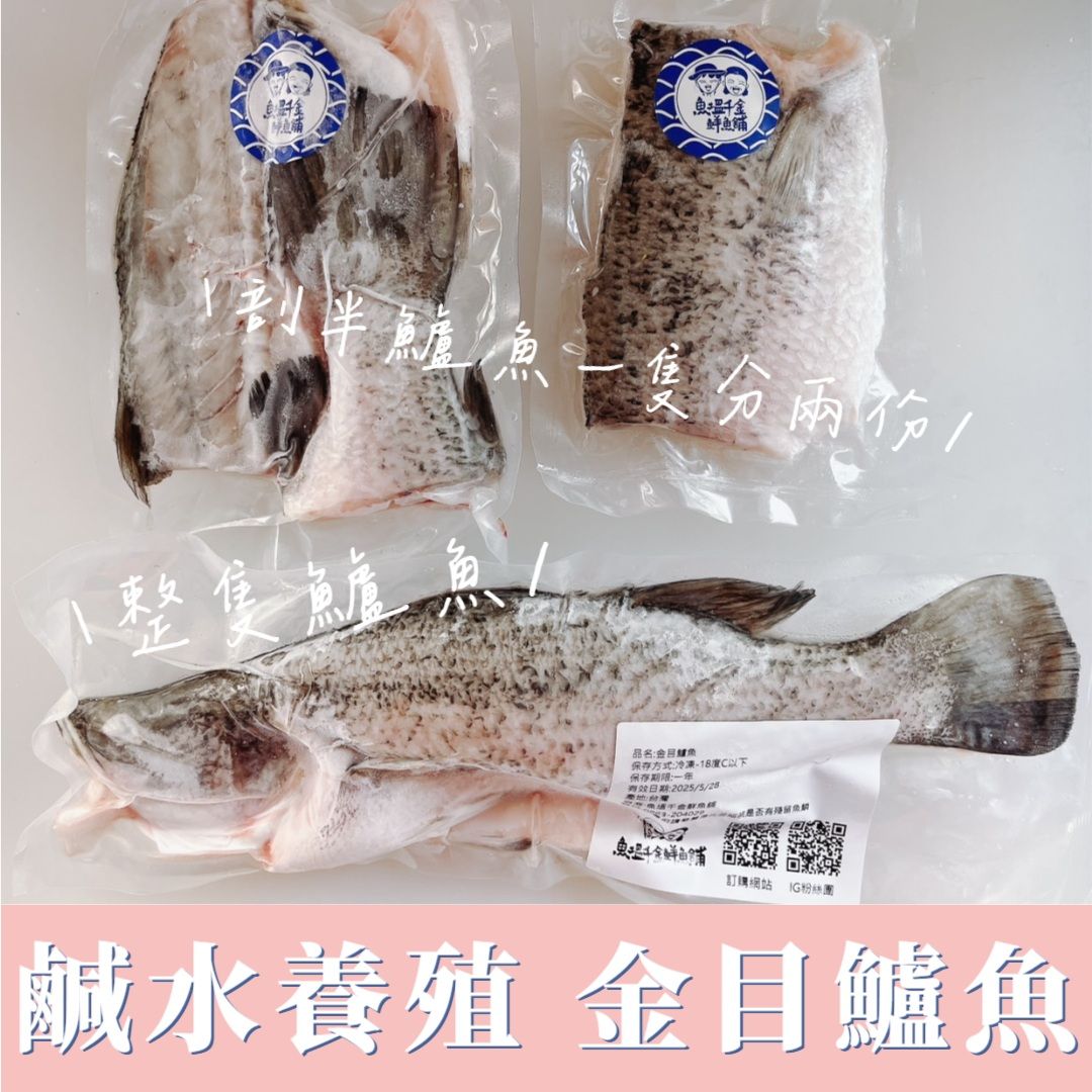 鹹水金目鱸魚
