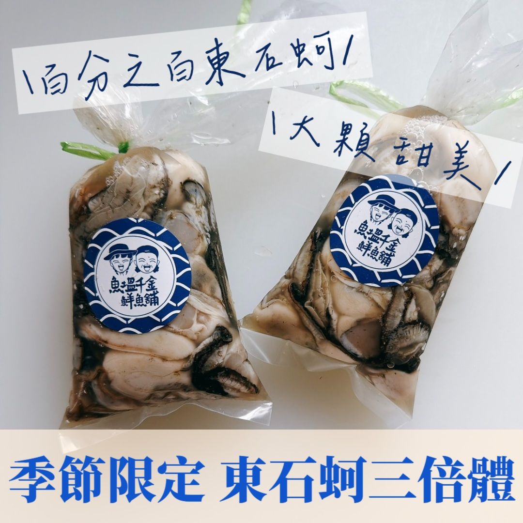 【重棒新品】東石蚵三倍體