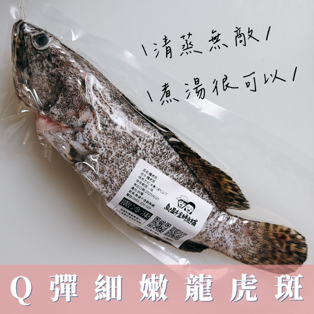 龍虎斑