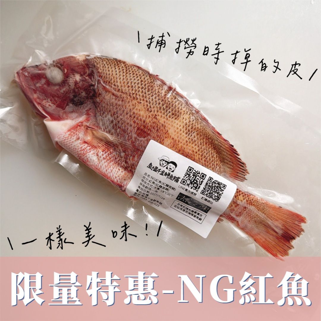 【限量販售】甜甜價NG紅魚