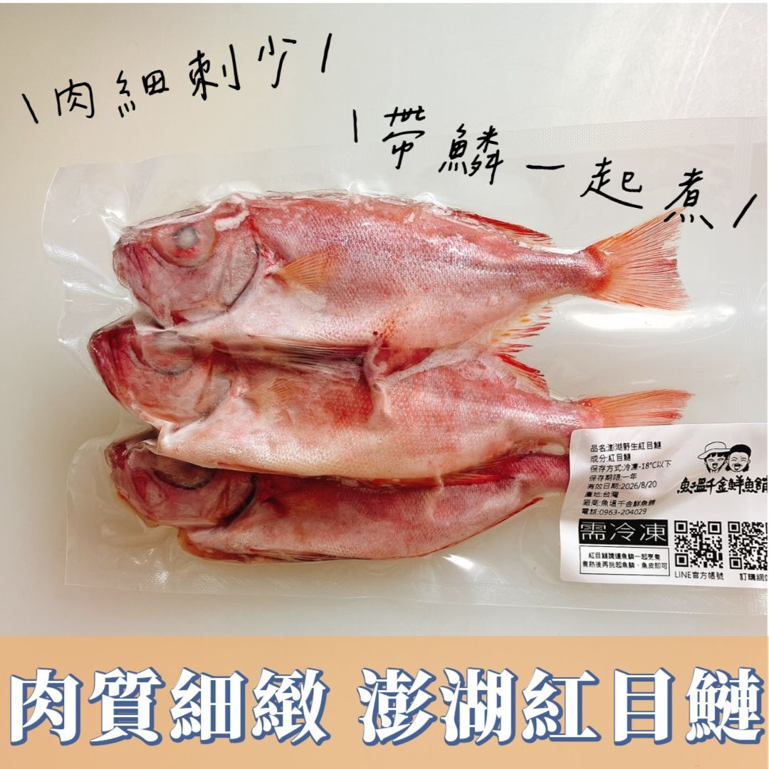 【限定回歸】澎湖紅目鰱