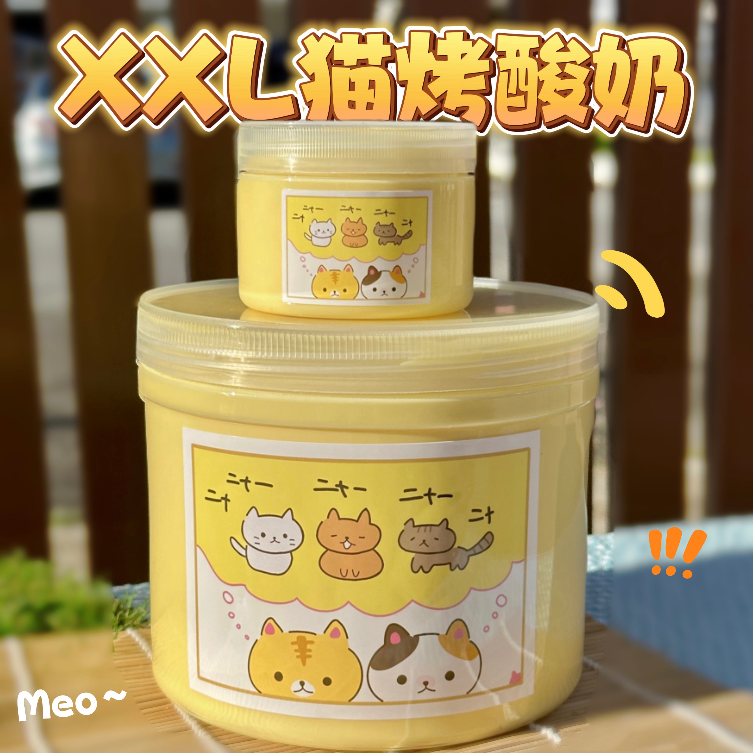 XXL超大貓烤酸奶！