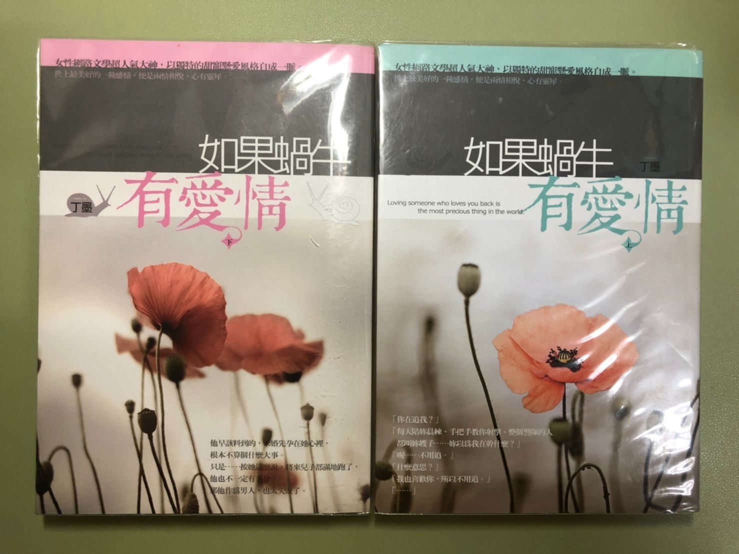 4.如果蝸牛有愛情 丁墨