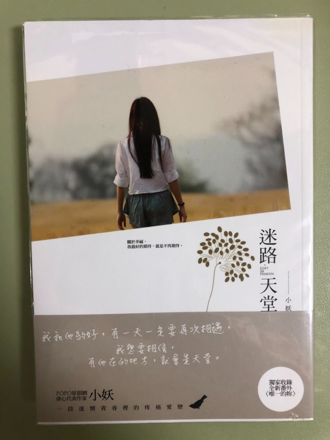 9.迷路天堂 小妖