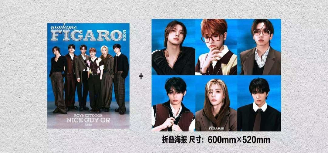 費加羅雜誌A+B ⚠️有海報無小卡