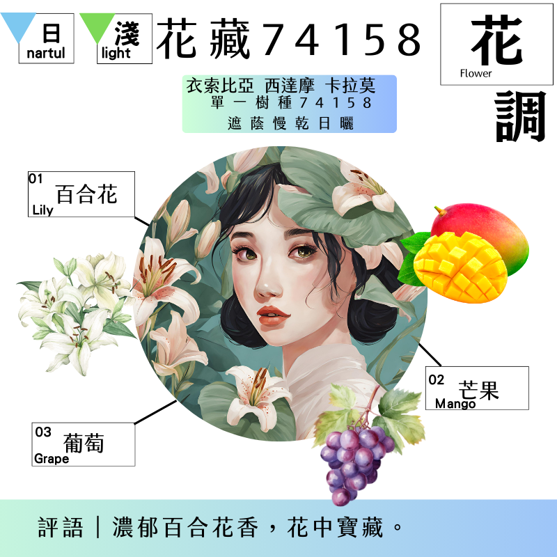 花香調｜花藏74158｜ 衣索比亞 西達摩 卡拉莫 74158 COE日曬冠軍